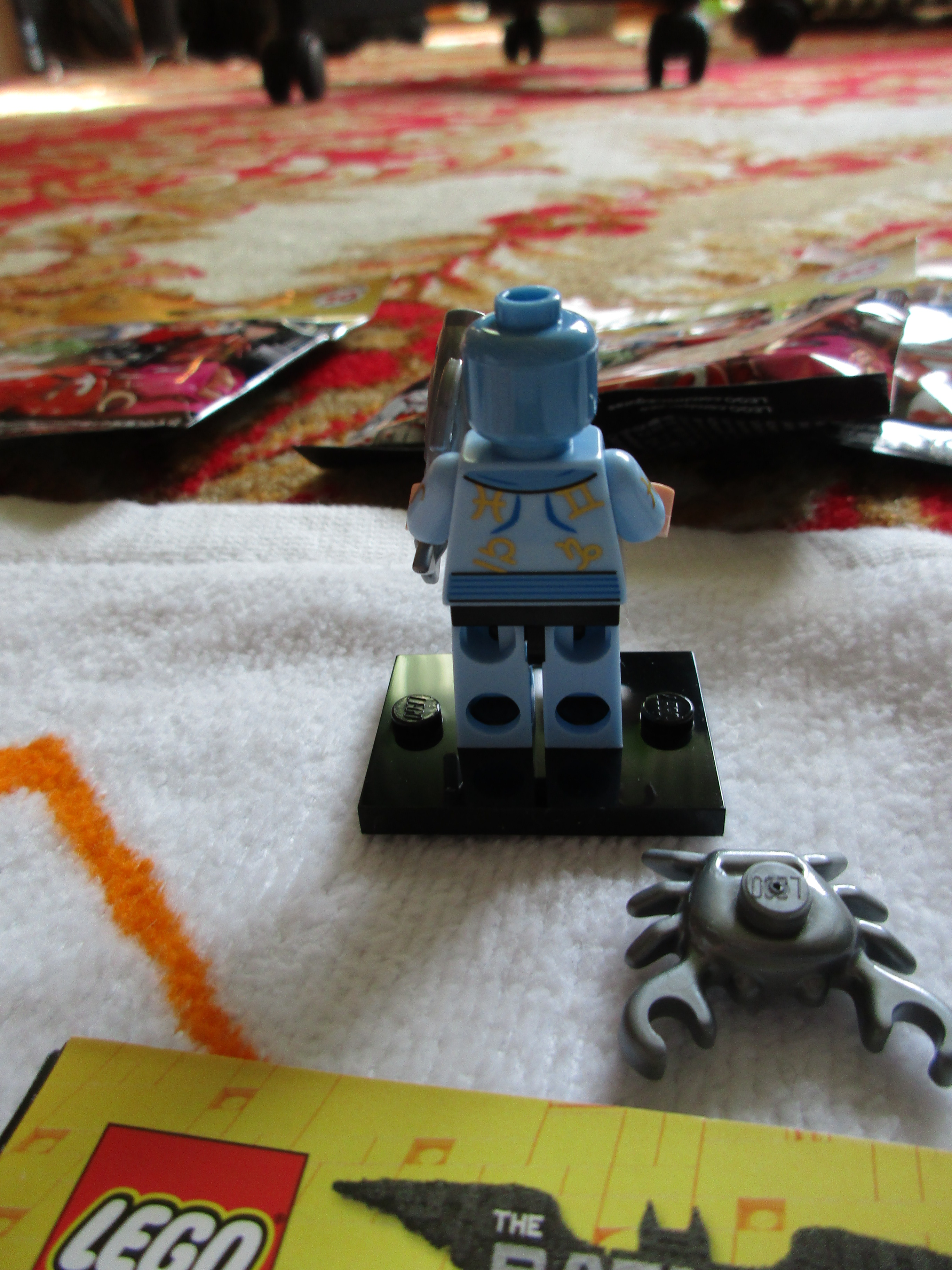 71017zodiacmaster2.jpg