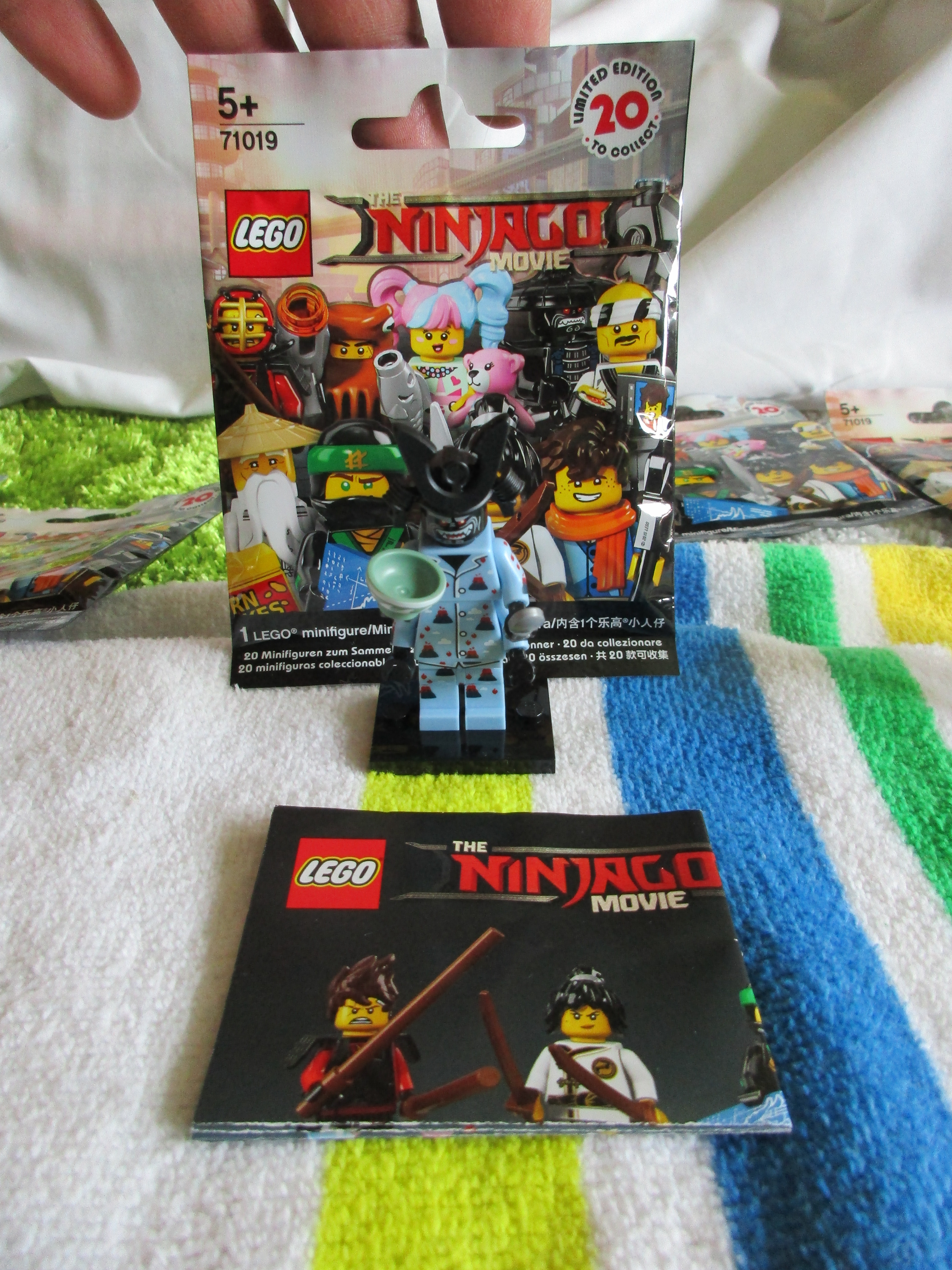 71019volcanogarmadon.jpg