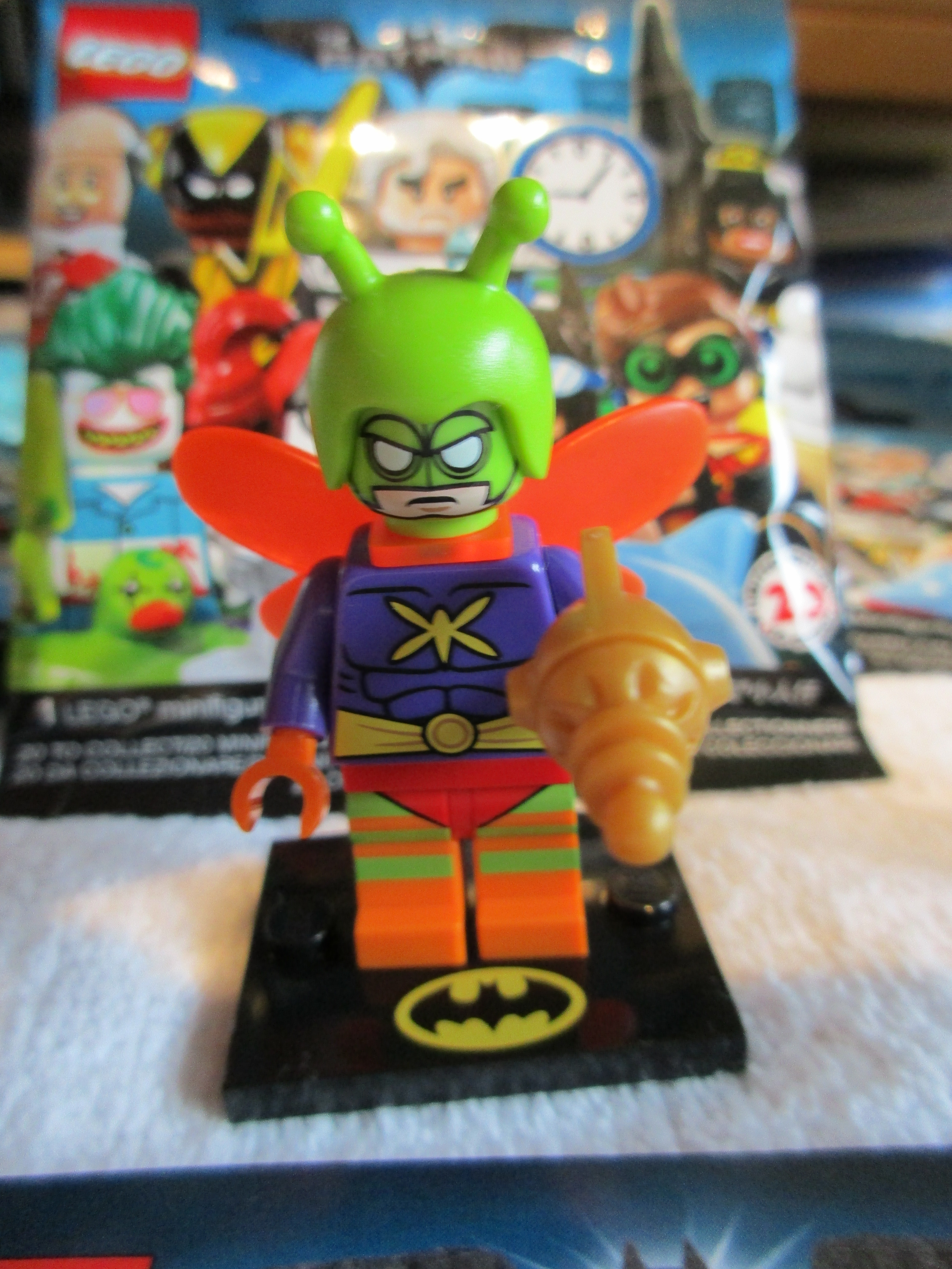 71020killermoth1.jpg