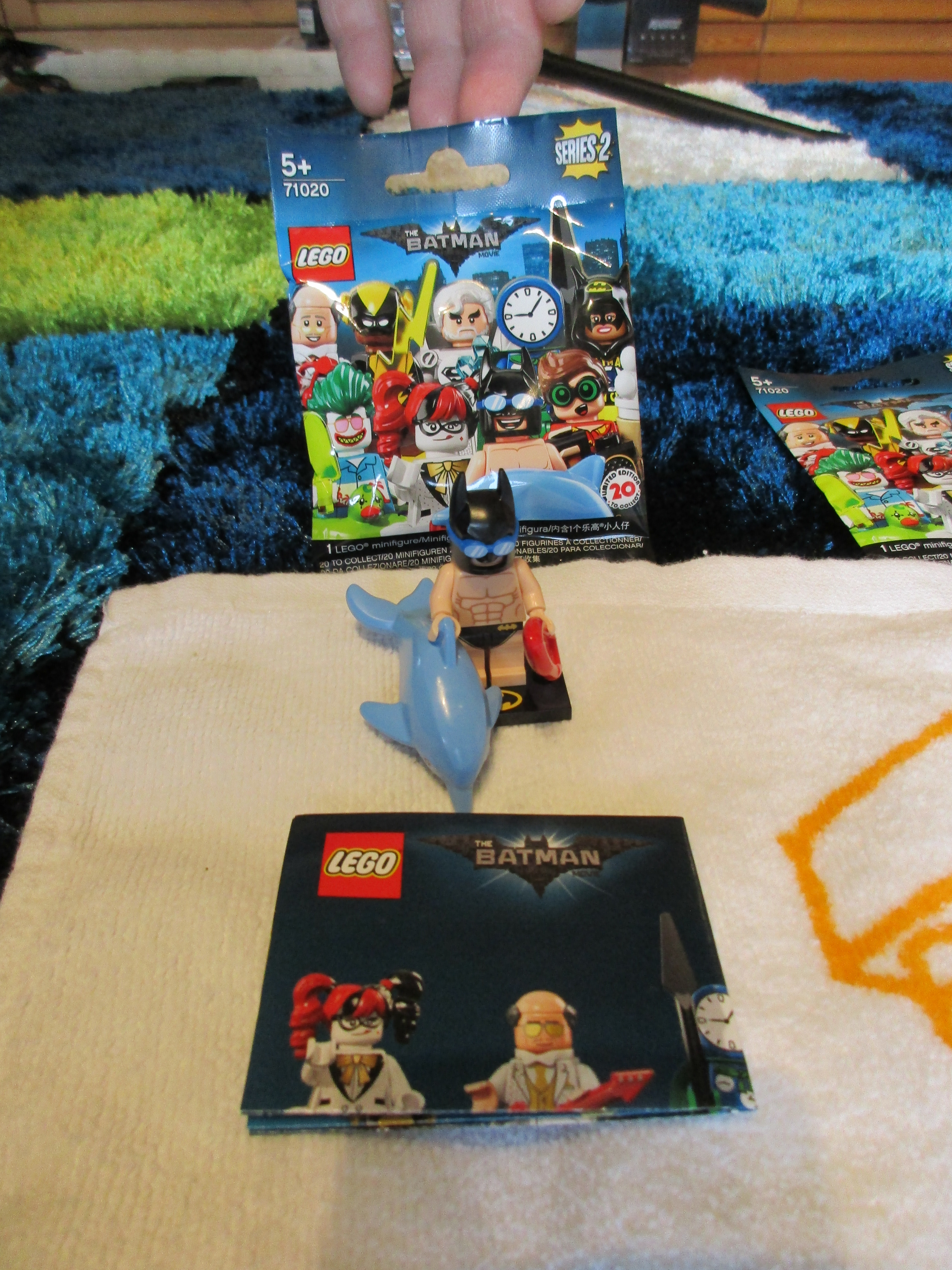 71020swimmingpoolbatman.jpg