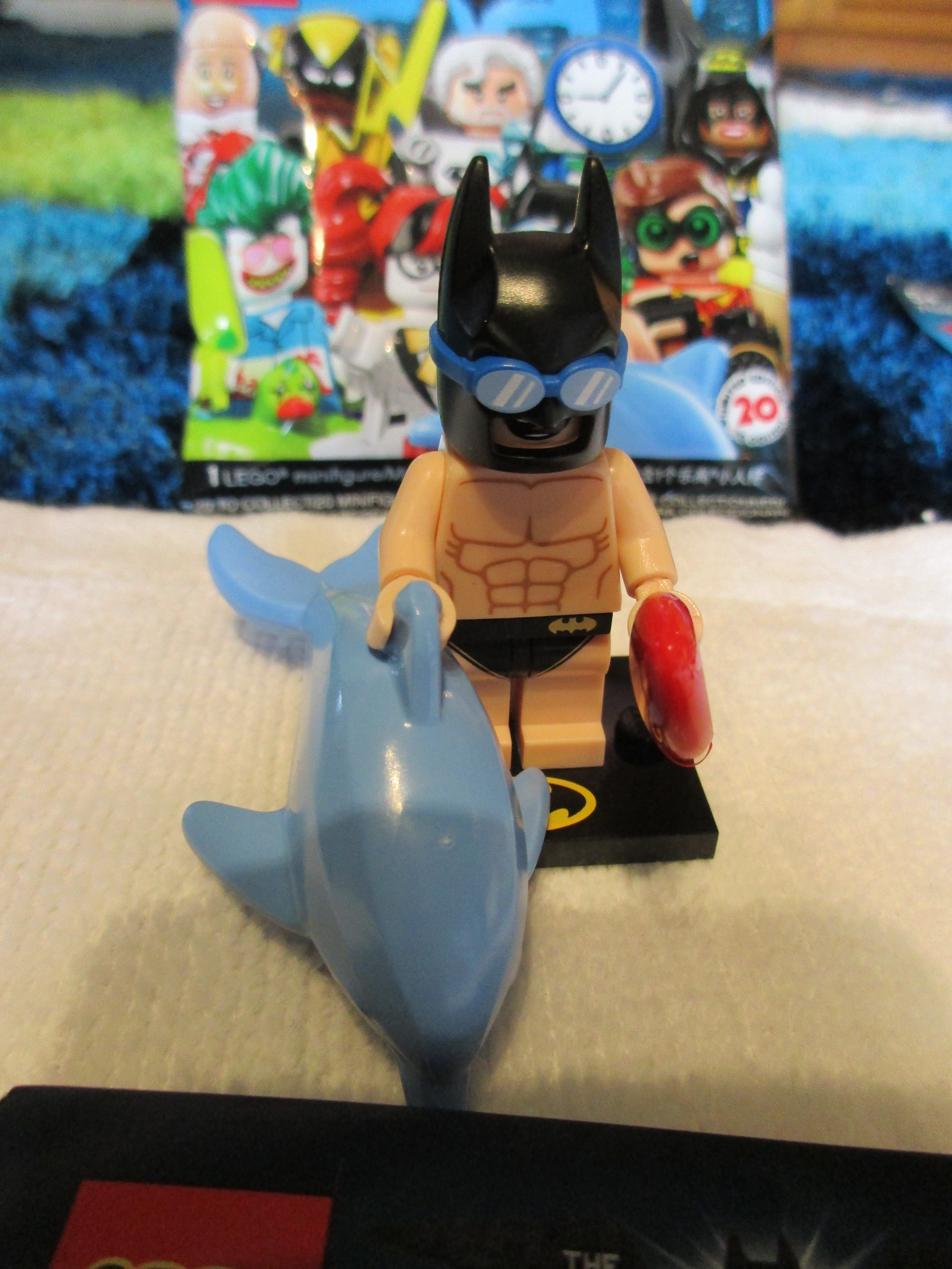 71020swimmingpoolbatman1.jpg
