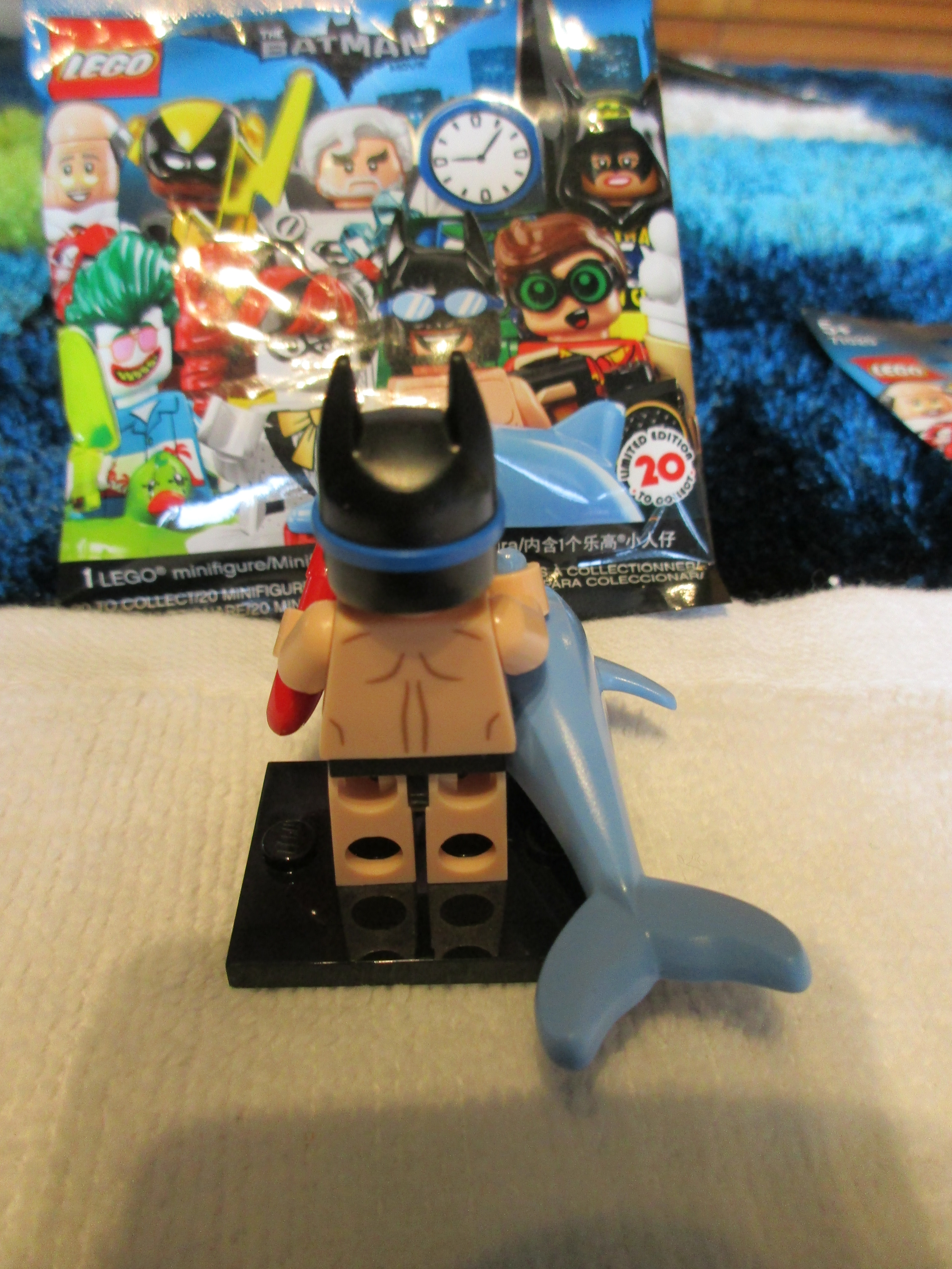 71020swimmingpoolbatman2.jpg