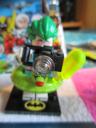 71020tropicaljoker1.jpg