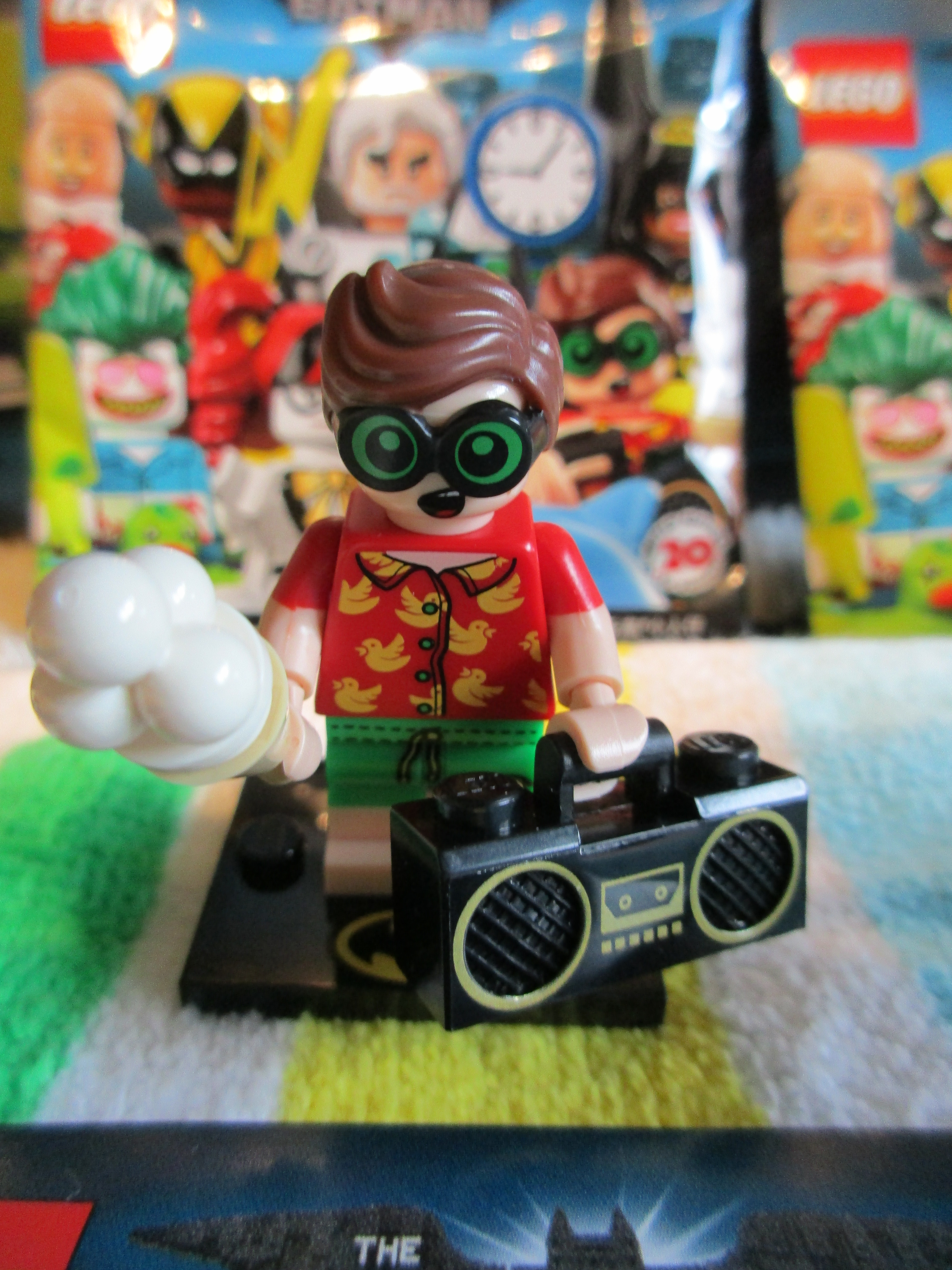 71020vacationrobin1.jpg