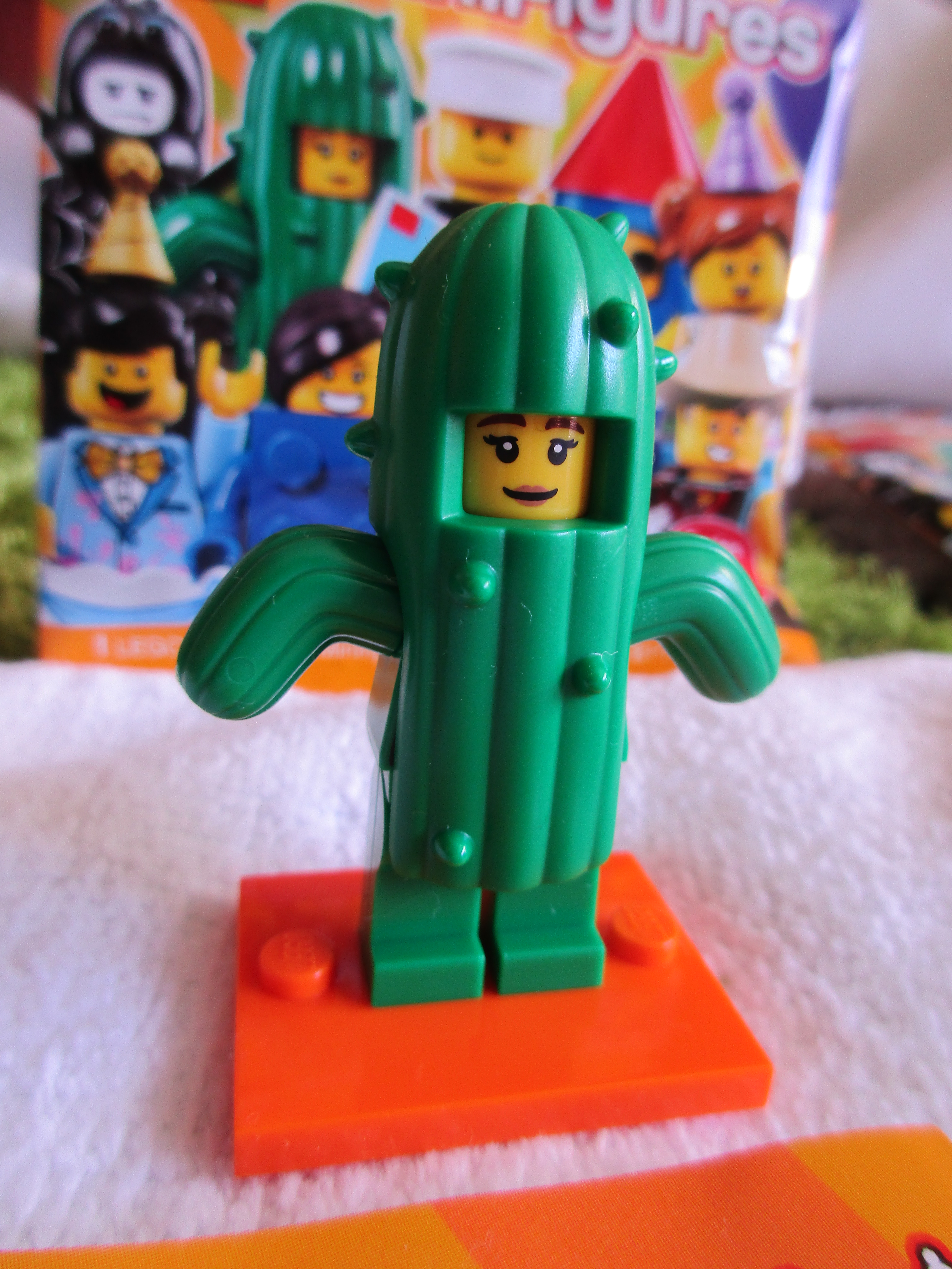 71021cactusgirl1.jpg