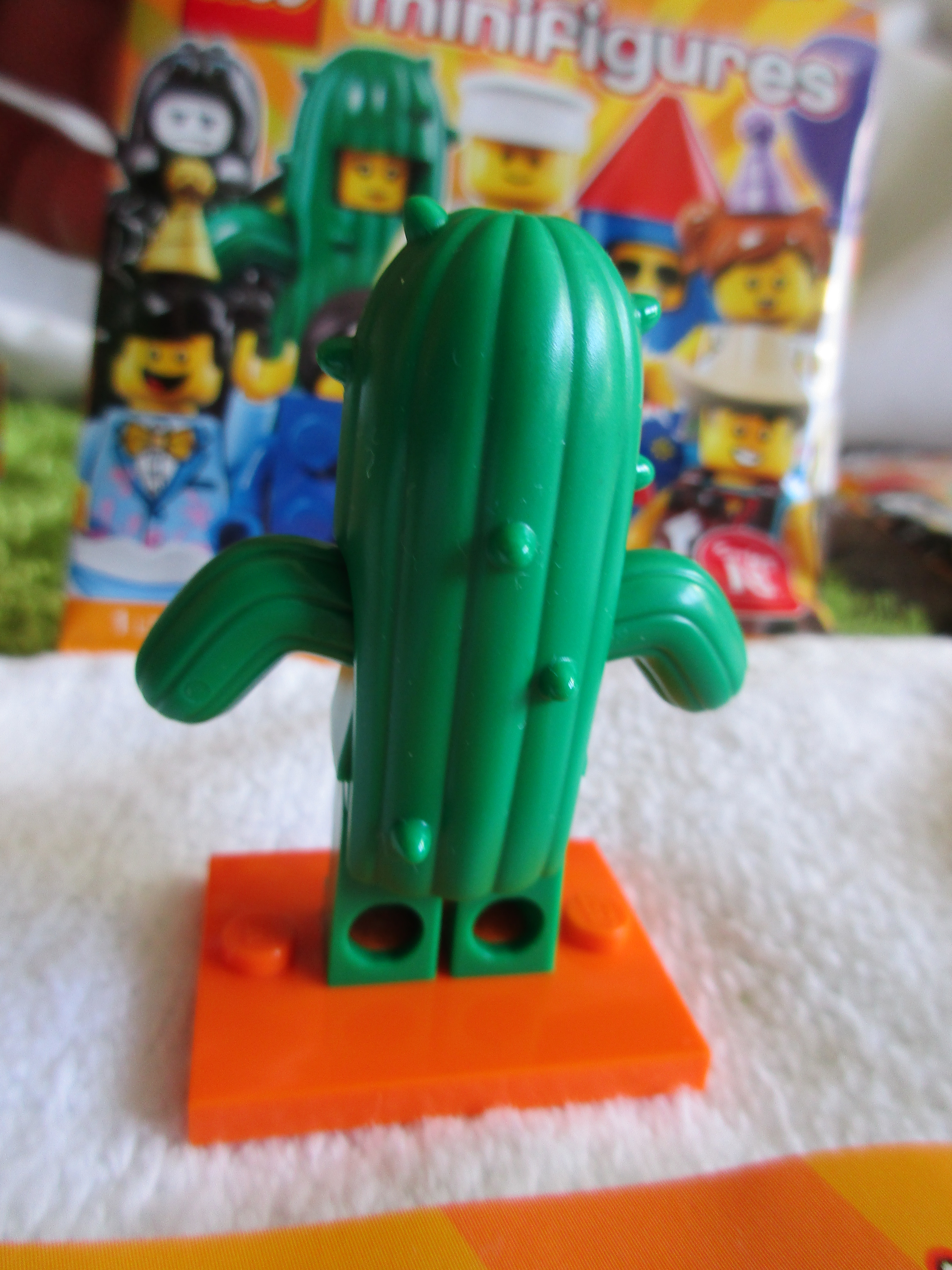 71021cactusgirl2.jpg