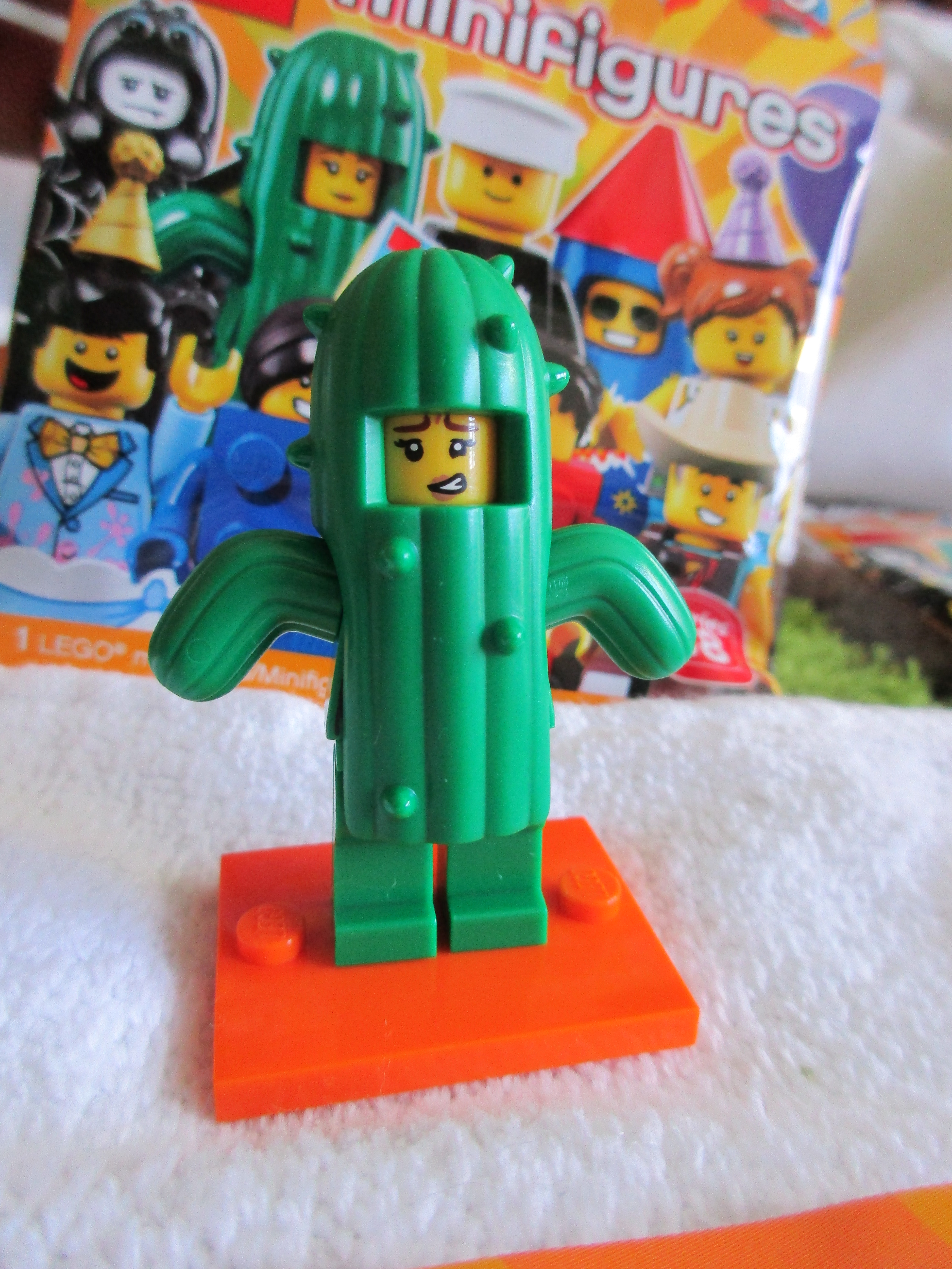 71021cactusgirl4.jpg