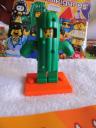 71021cactusgirl3.jpg
