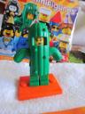 71021cactusgirl4.jpg