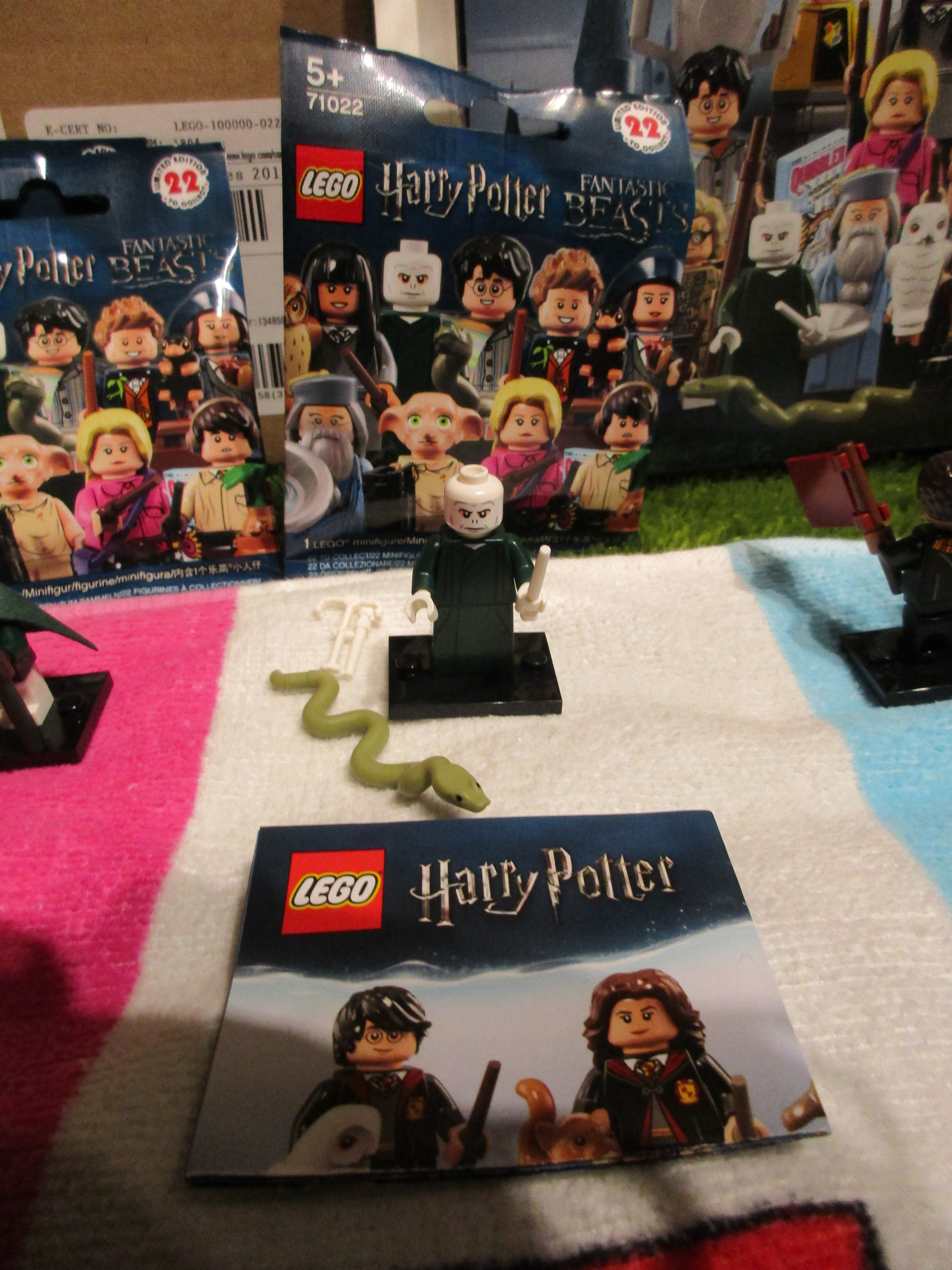 71022lordvoldemort.jpg