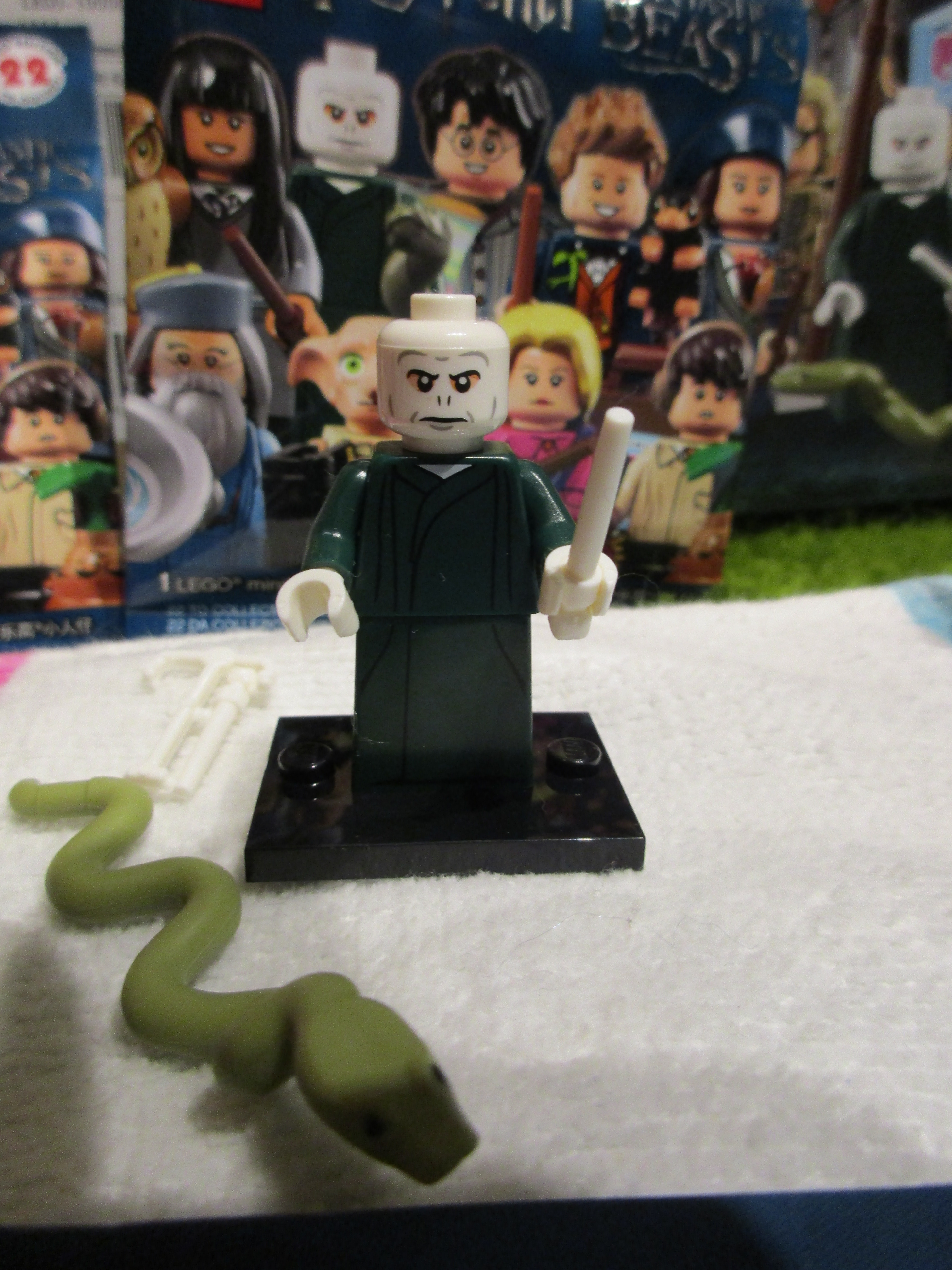 71022lordvoldemort1.jpg