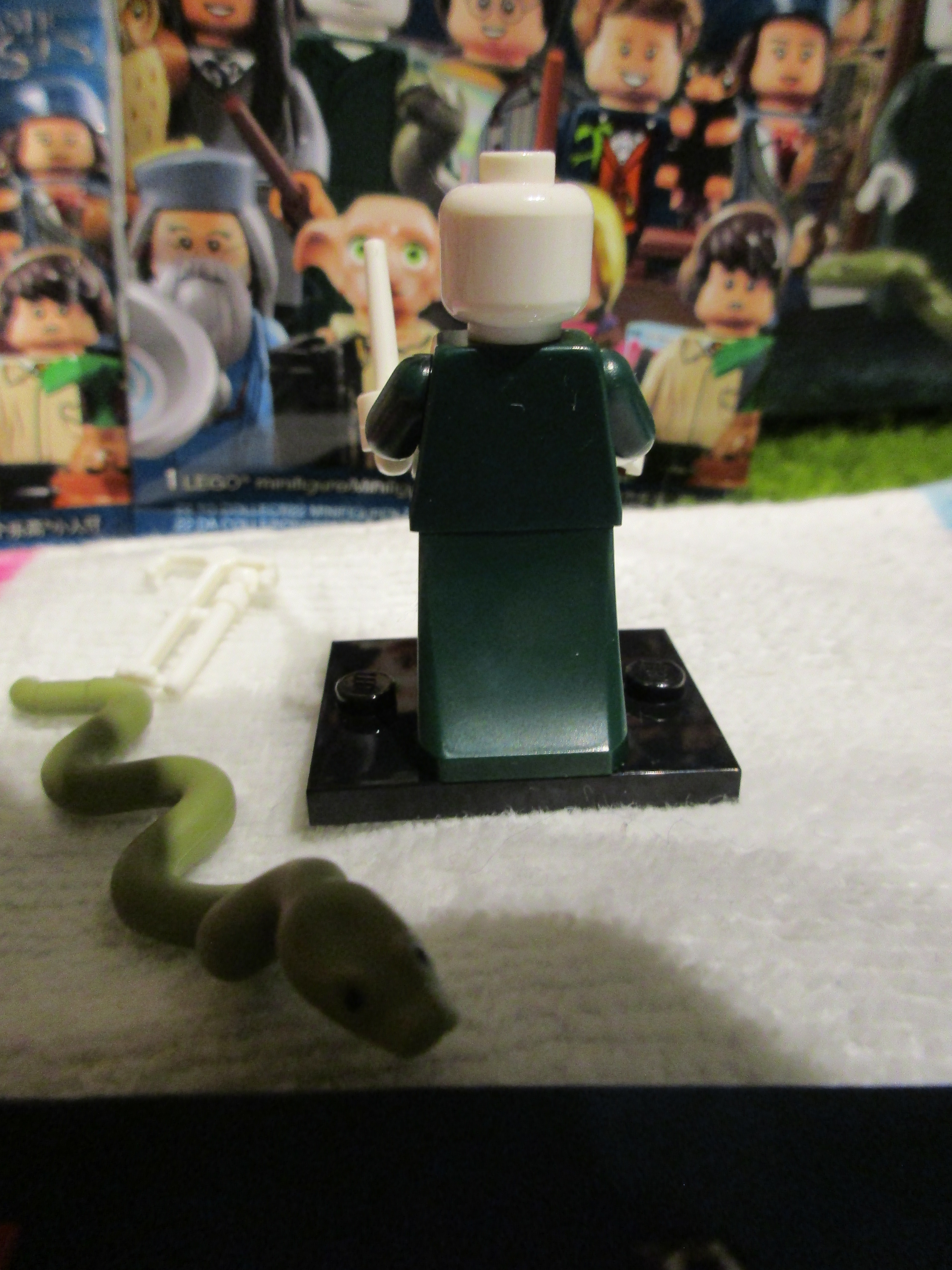71022lordvoldemort2.jpg