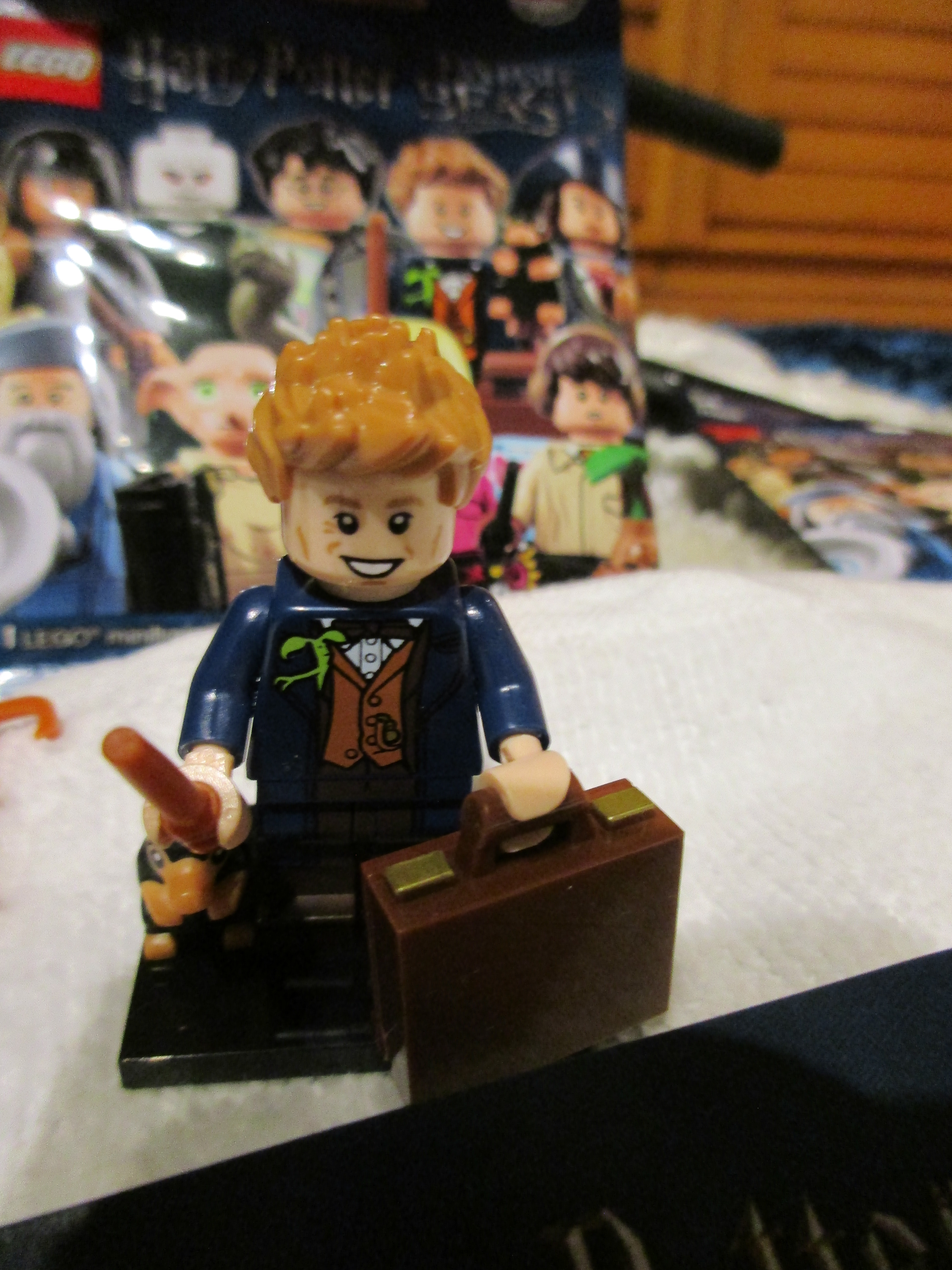 71022newtscamander2.jpg