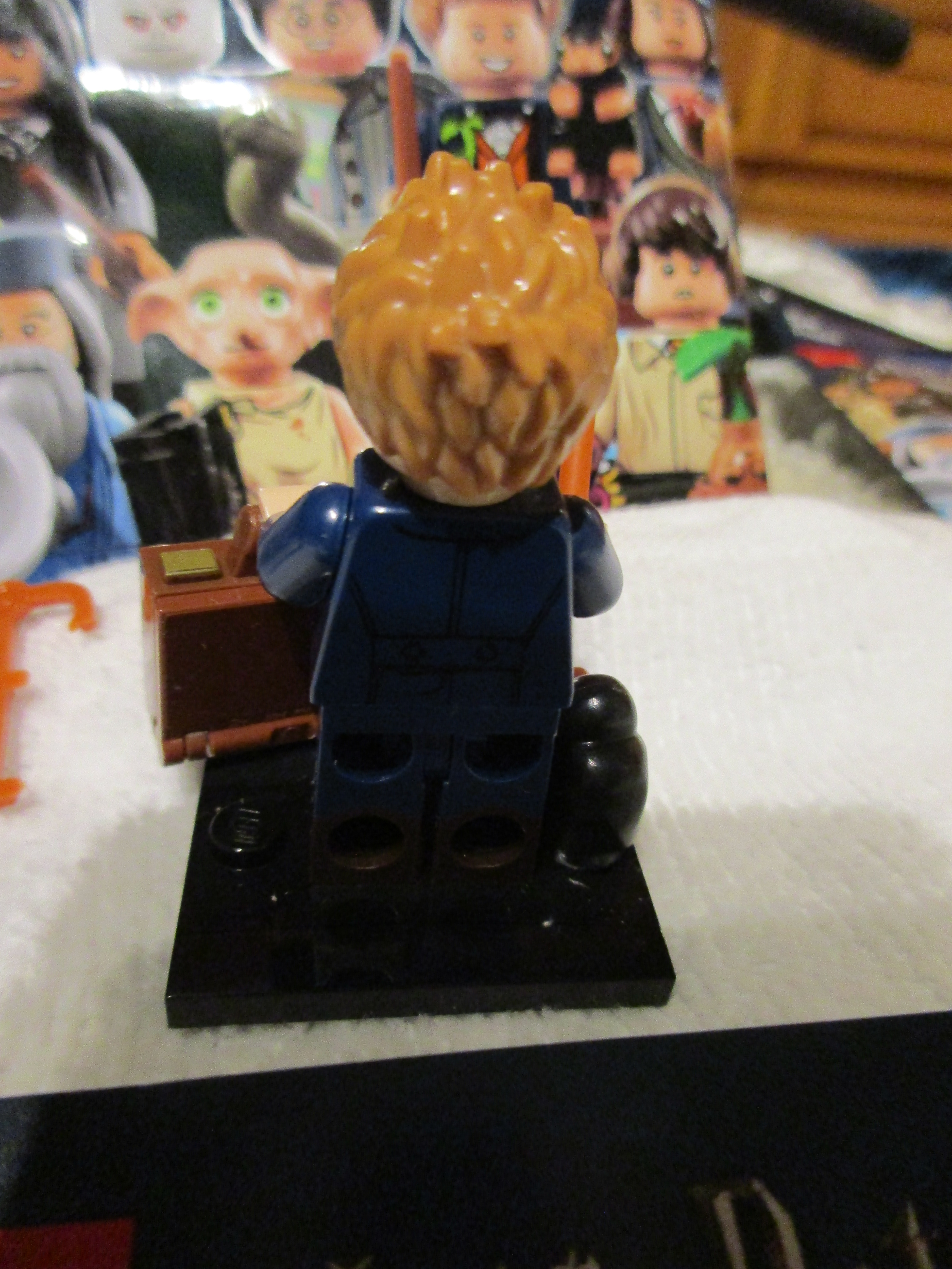 71022newtscamander3.jpg