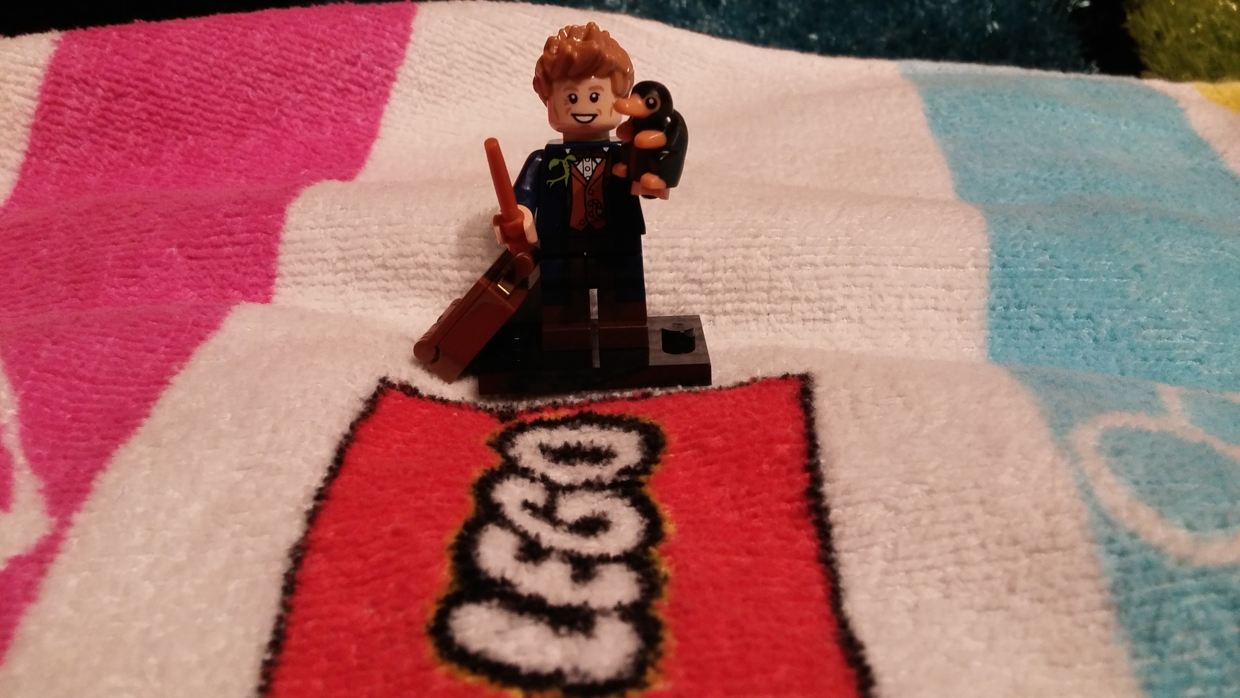71022newtscamander4.jpg