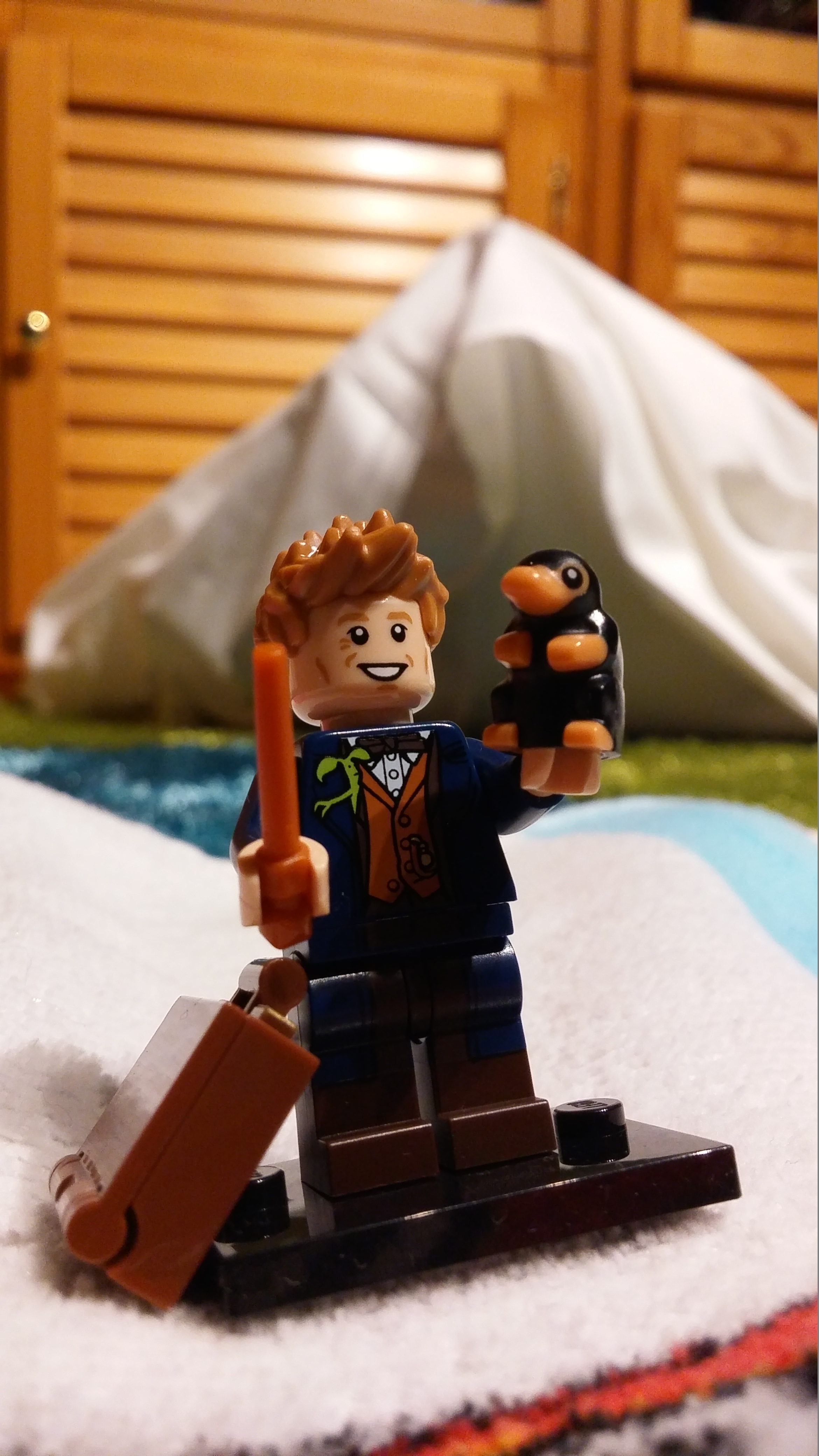 71022newtscamander5.jpg