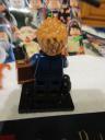 71022newtscamander3.jpg