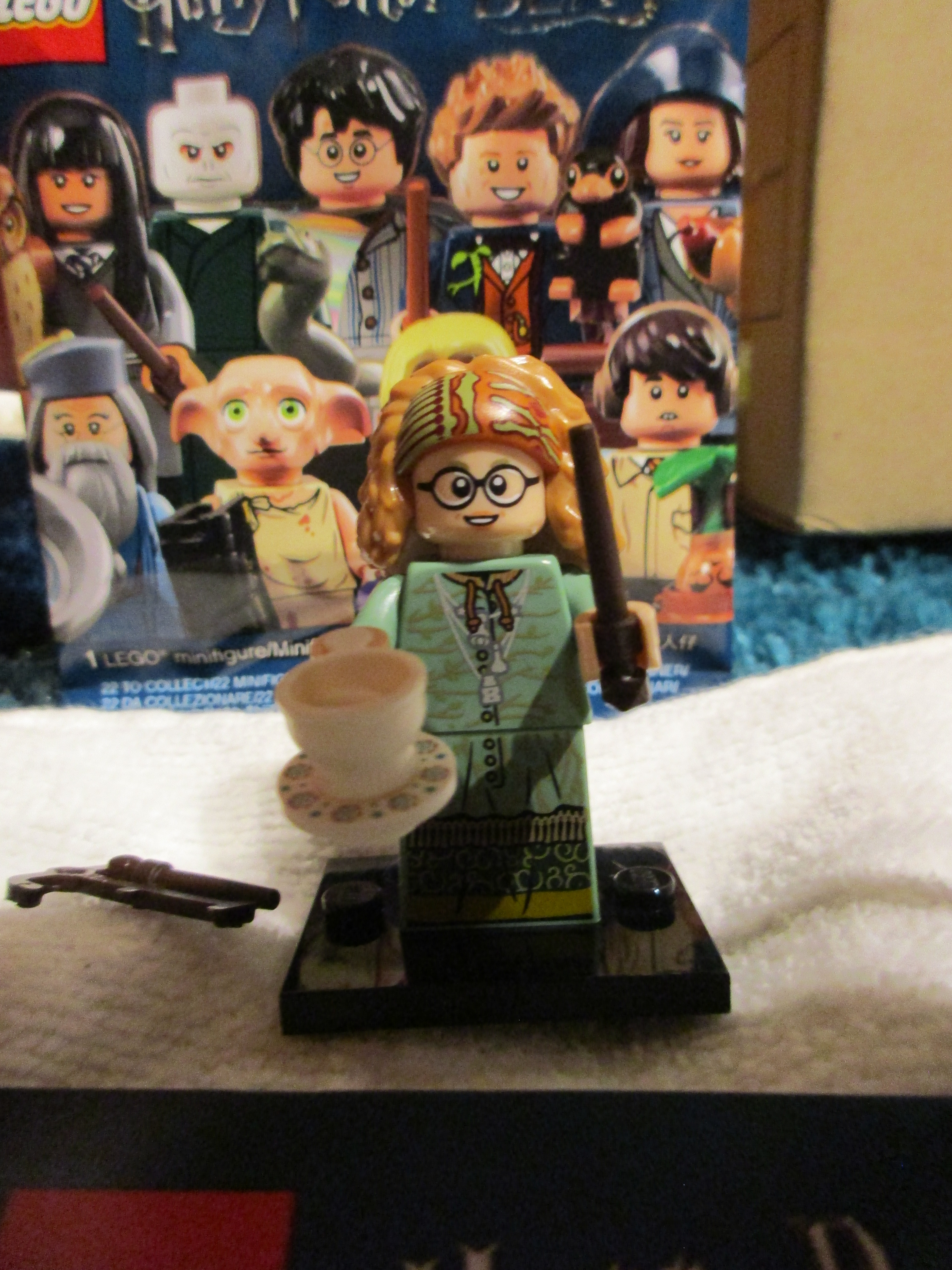 71022professorsybilltrelawney2.jpg