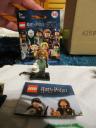 71022ProfessorSybill