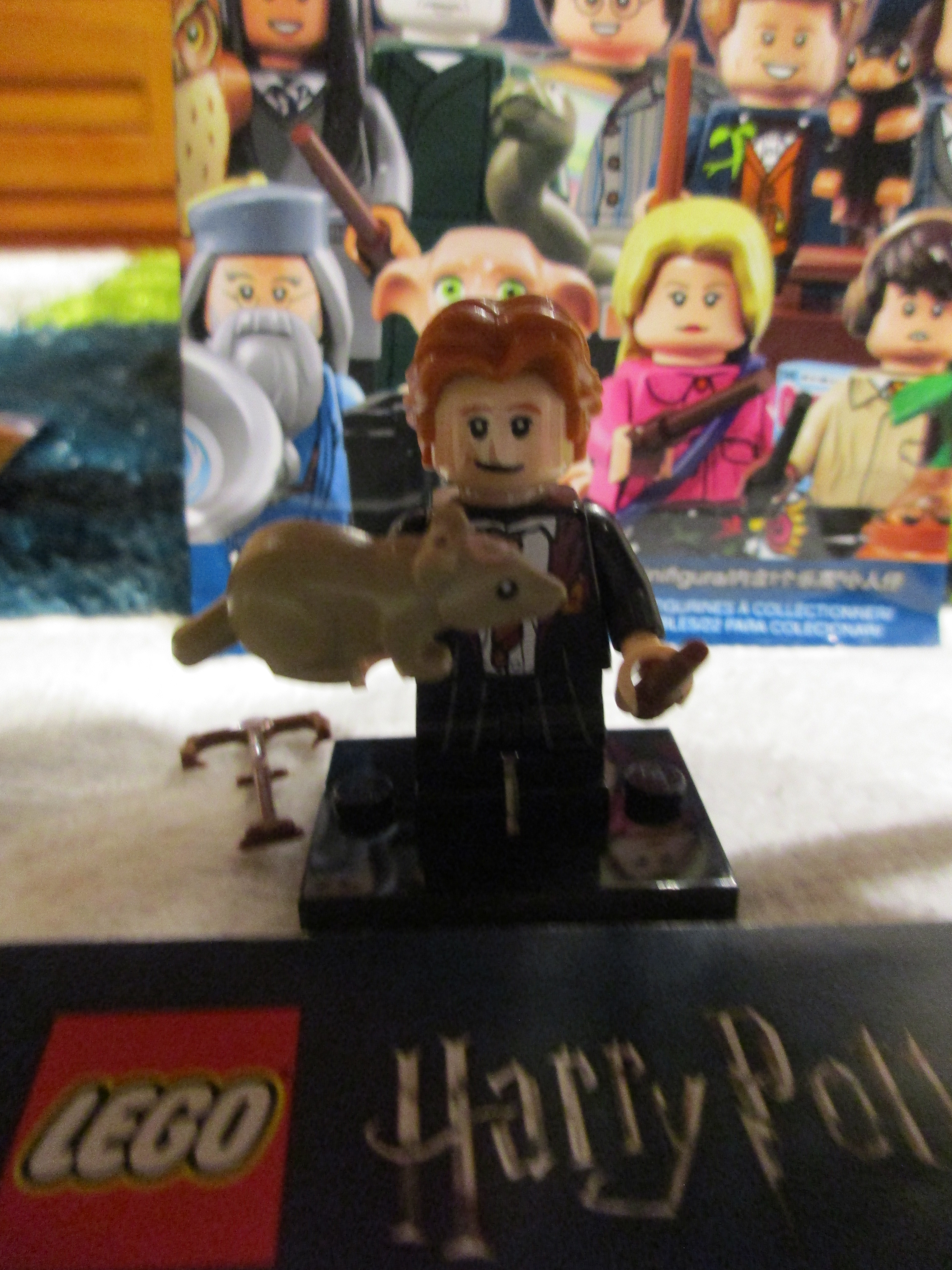 71022ronweasley1.jpg