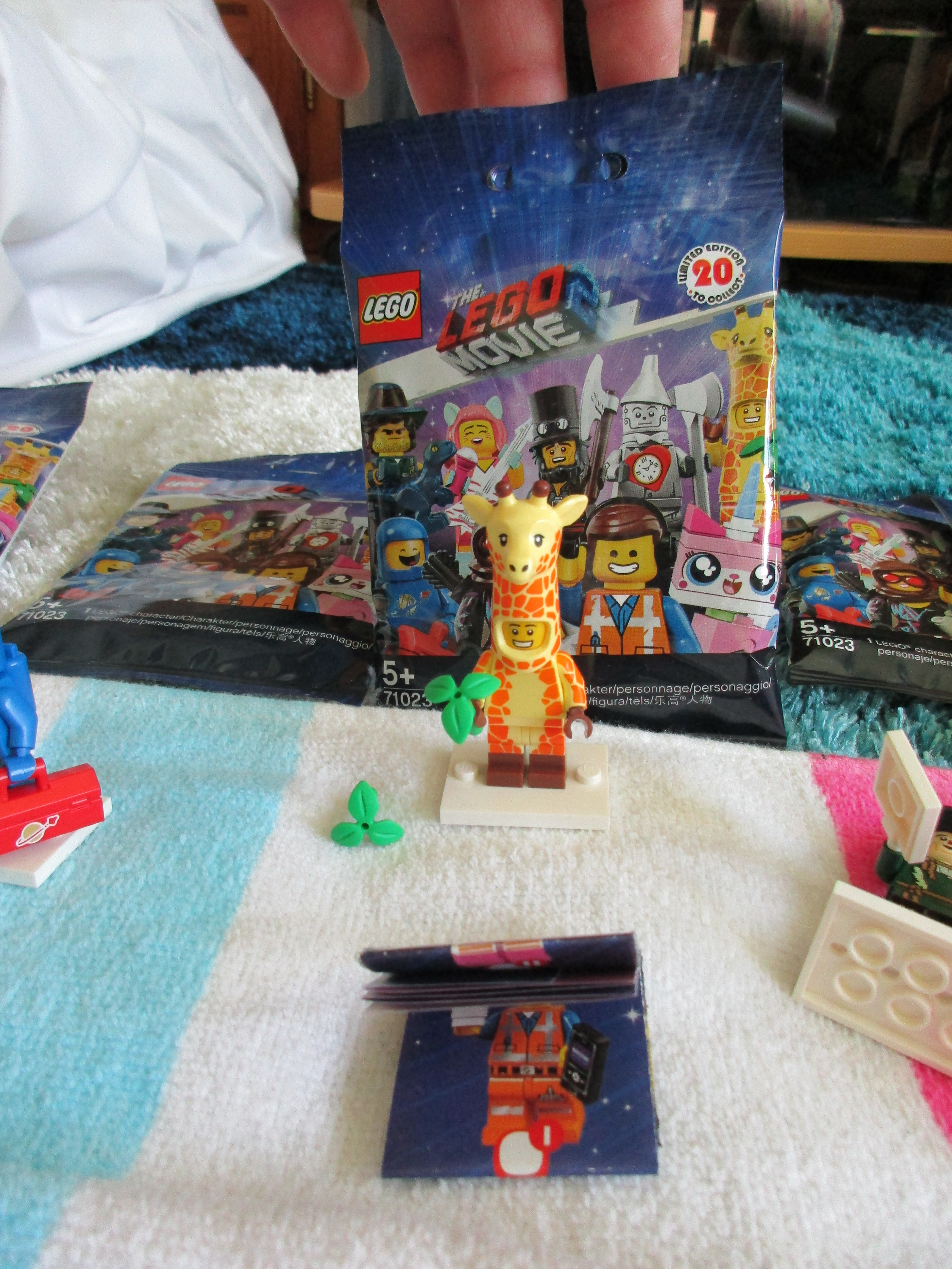 71023giraffeguy.jpg