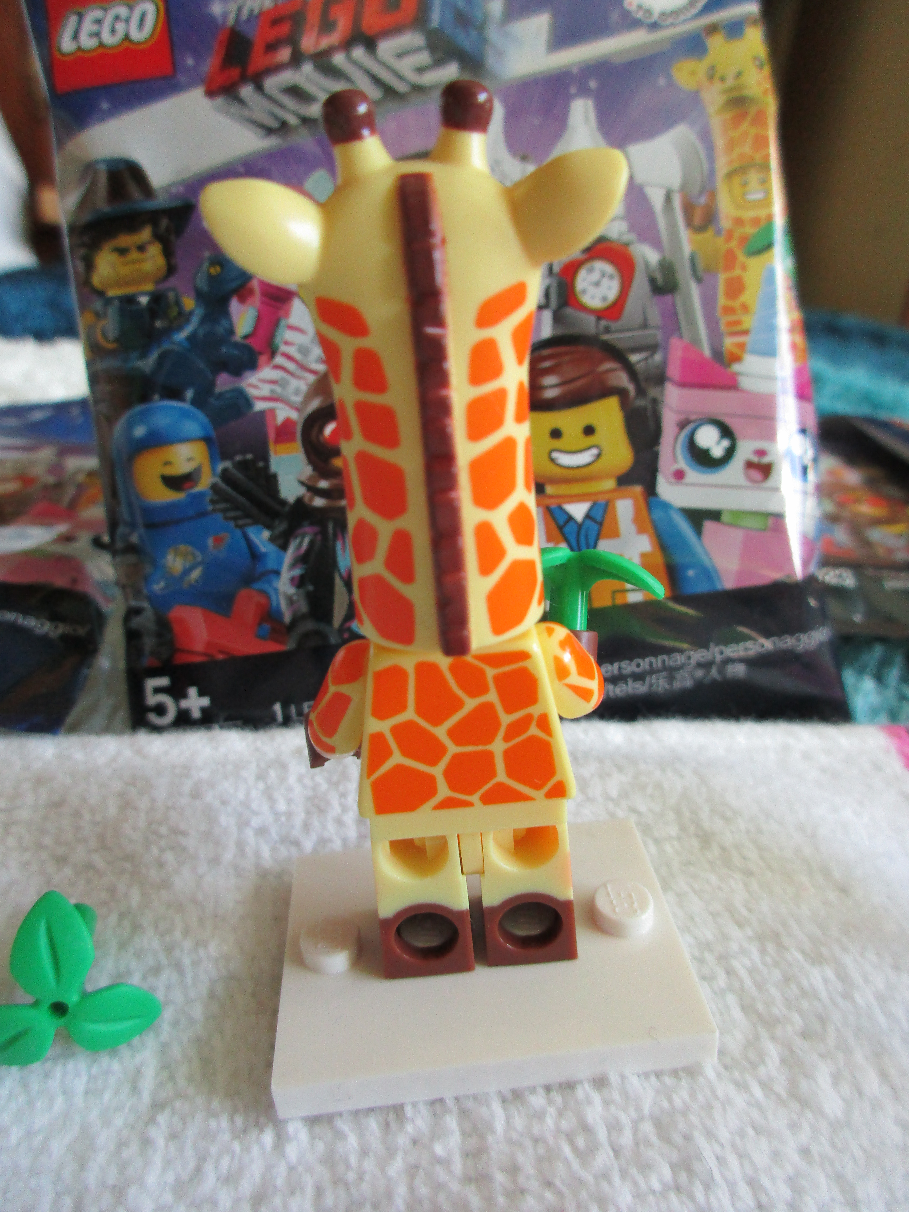 71023giraffeguy2.jpg