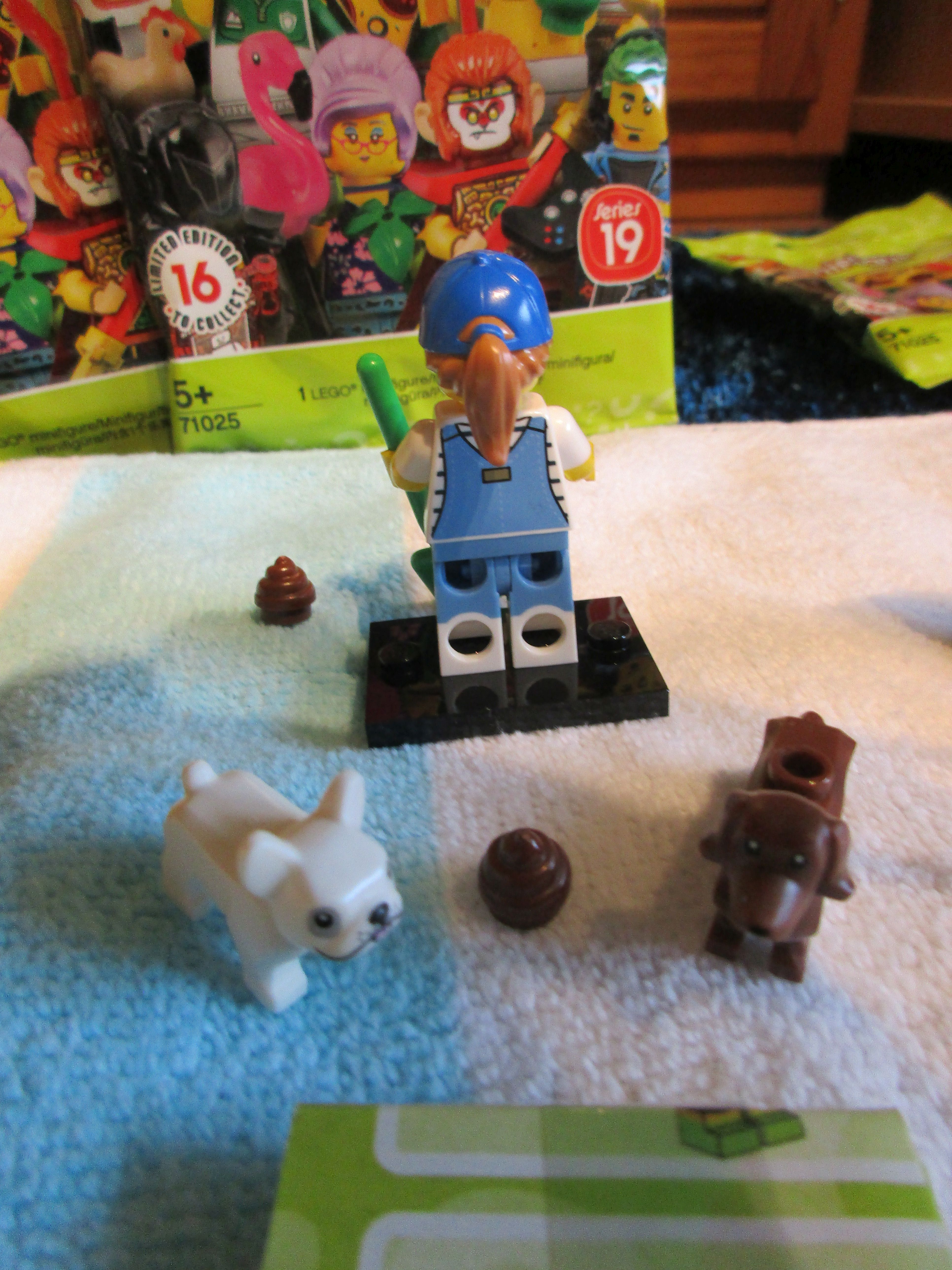 71025dogsitter2.jpg