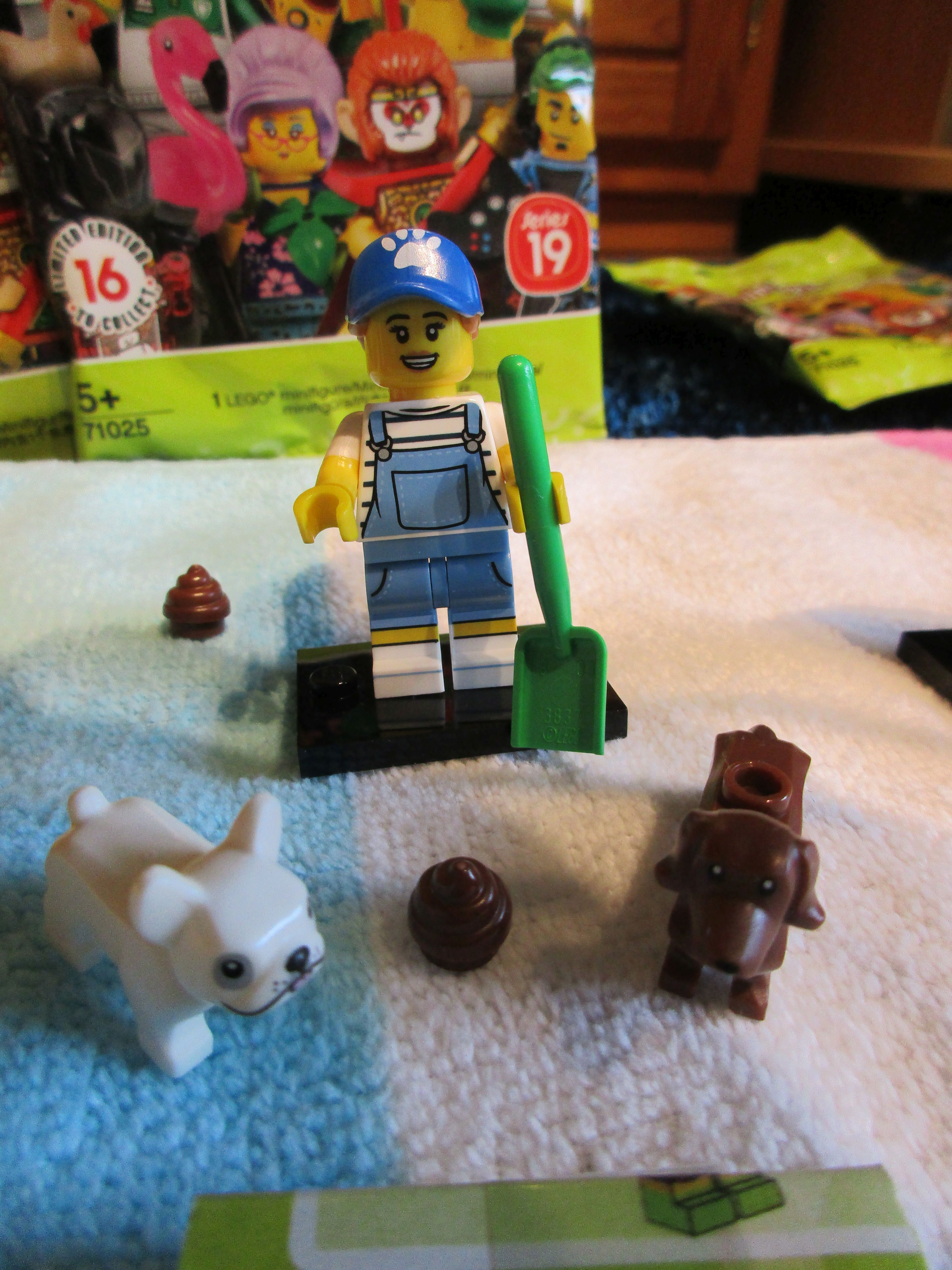 71025dogsitter4.jpg