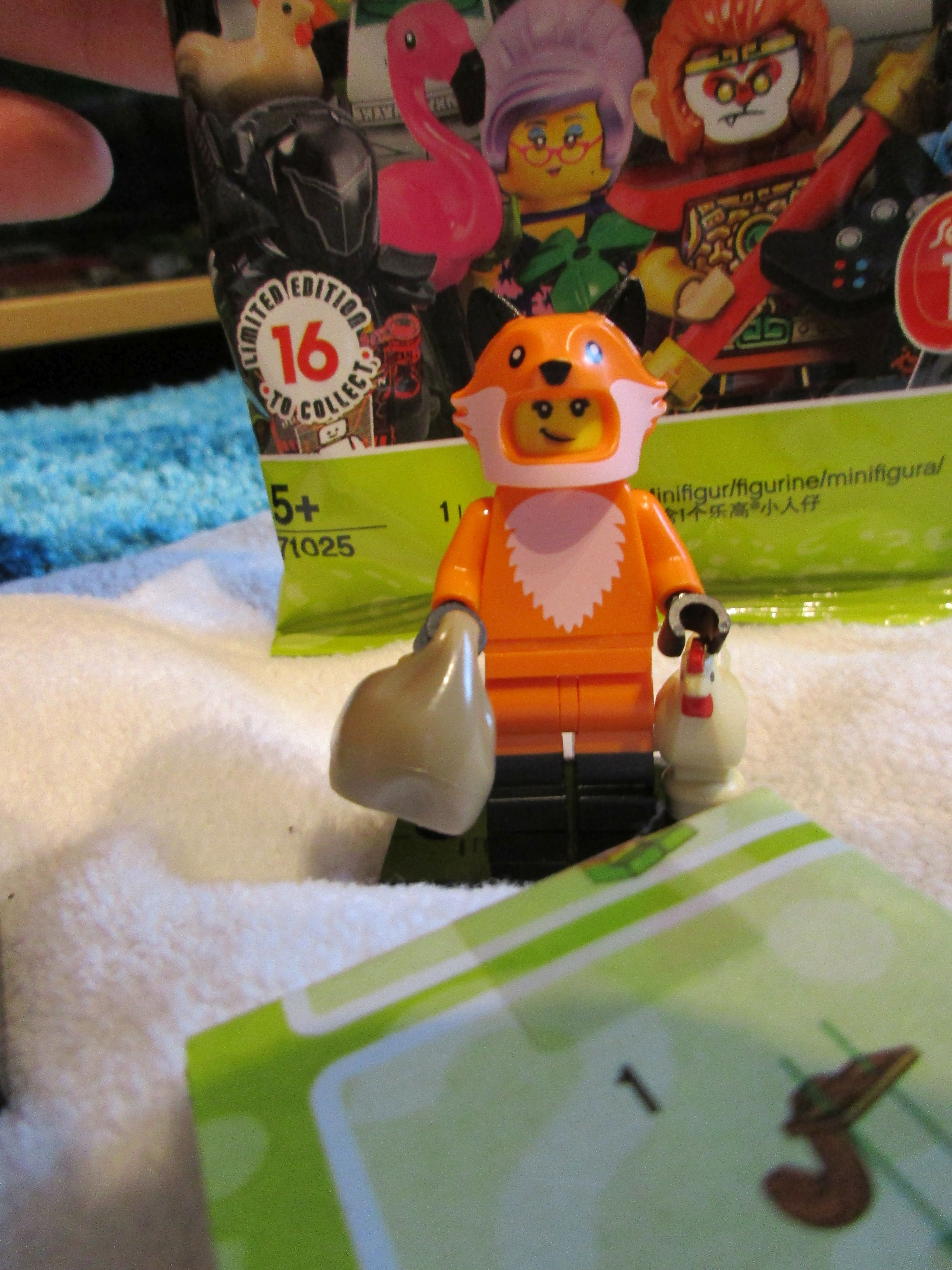 71025foxcostumegirl2.jpg