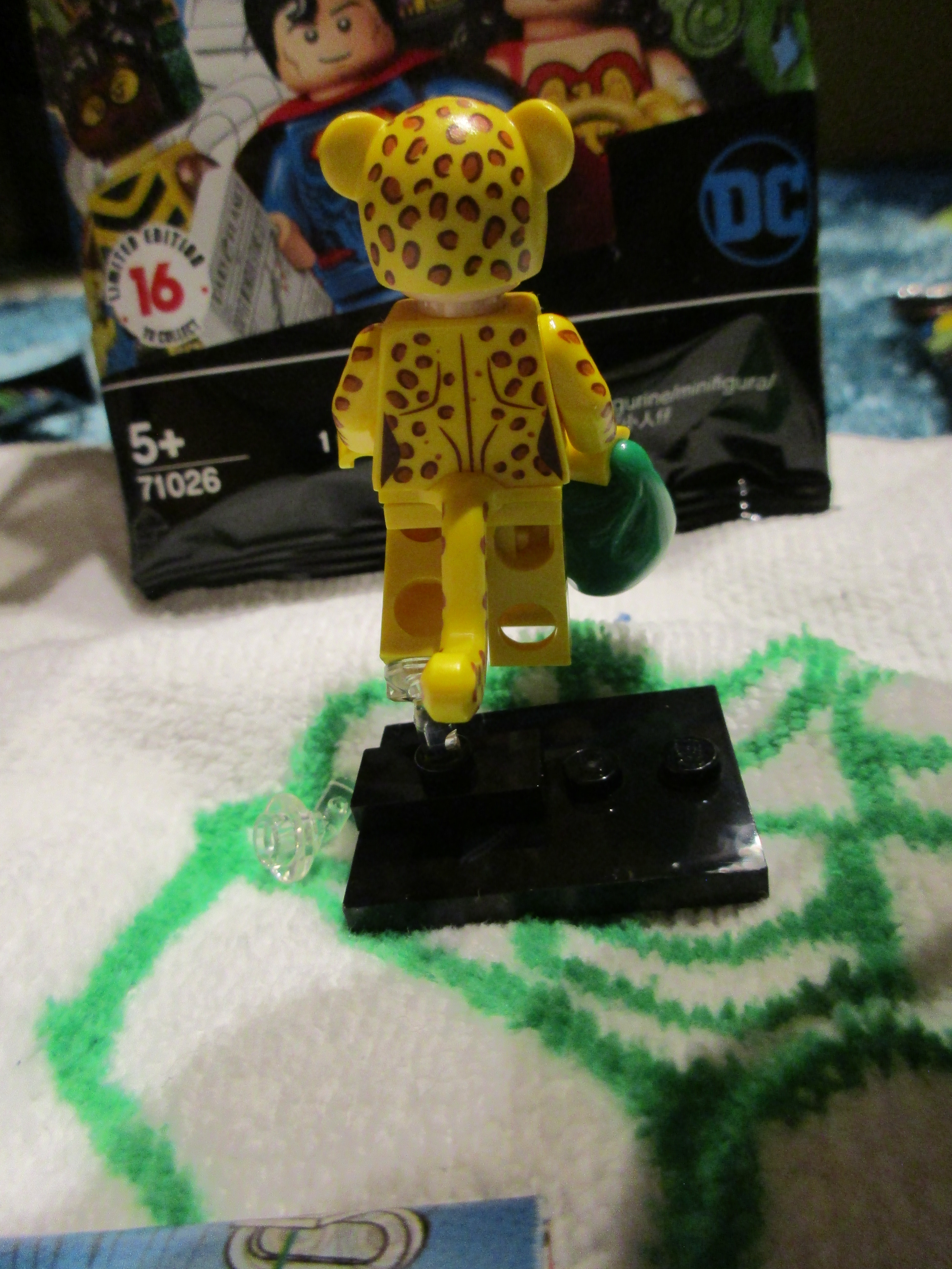 71026cheetah2.jpg