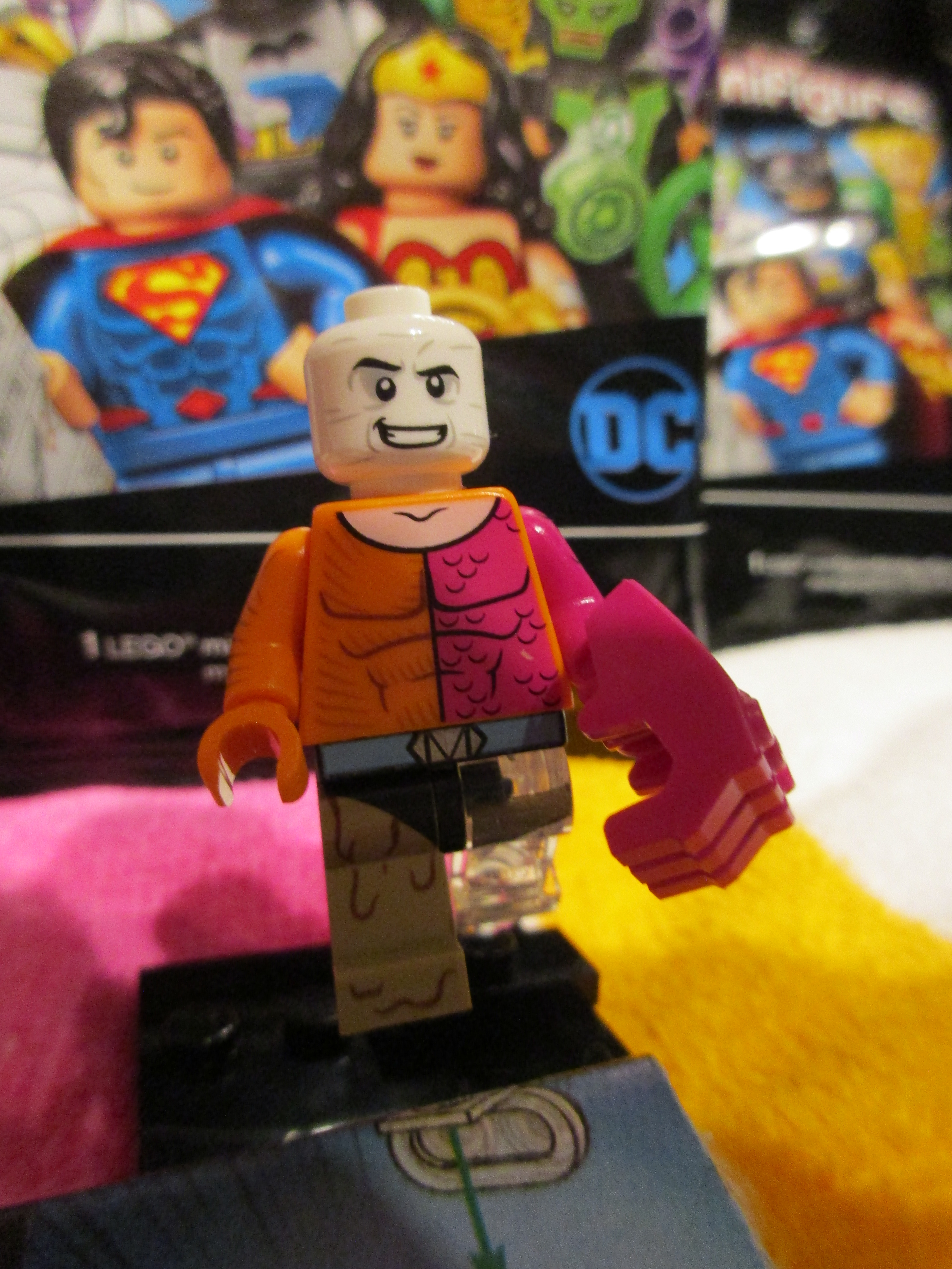 71026metamorpho1.jpg