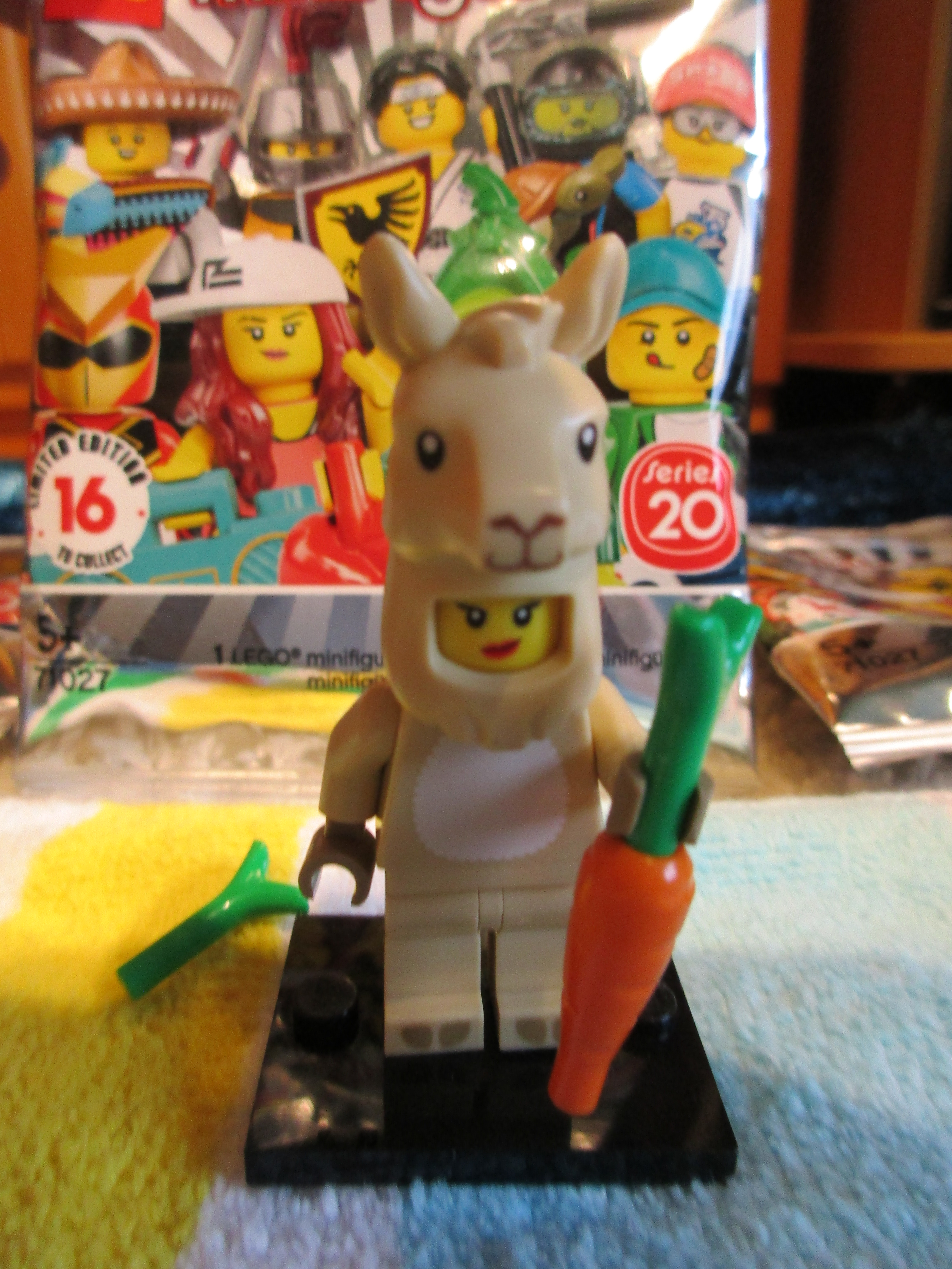 71027llamacostumegirl1.jpg