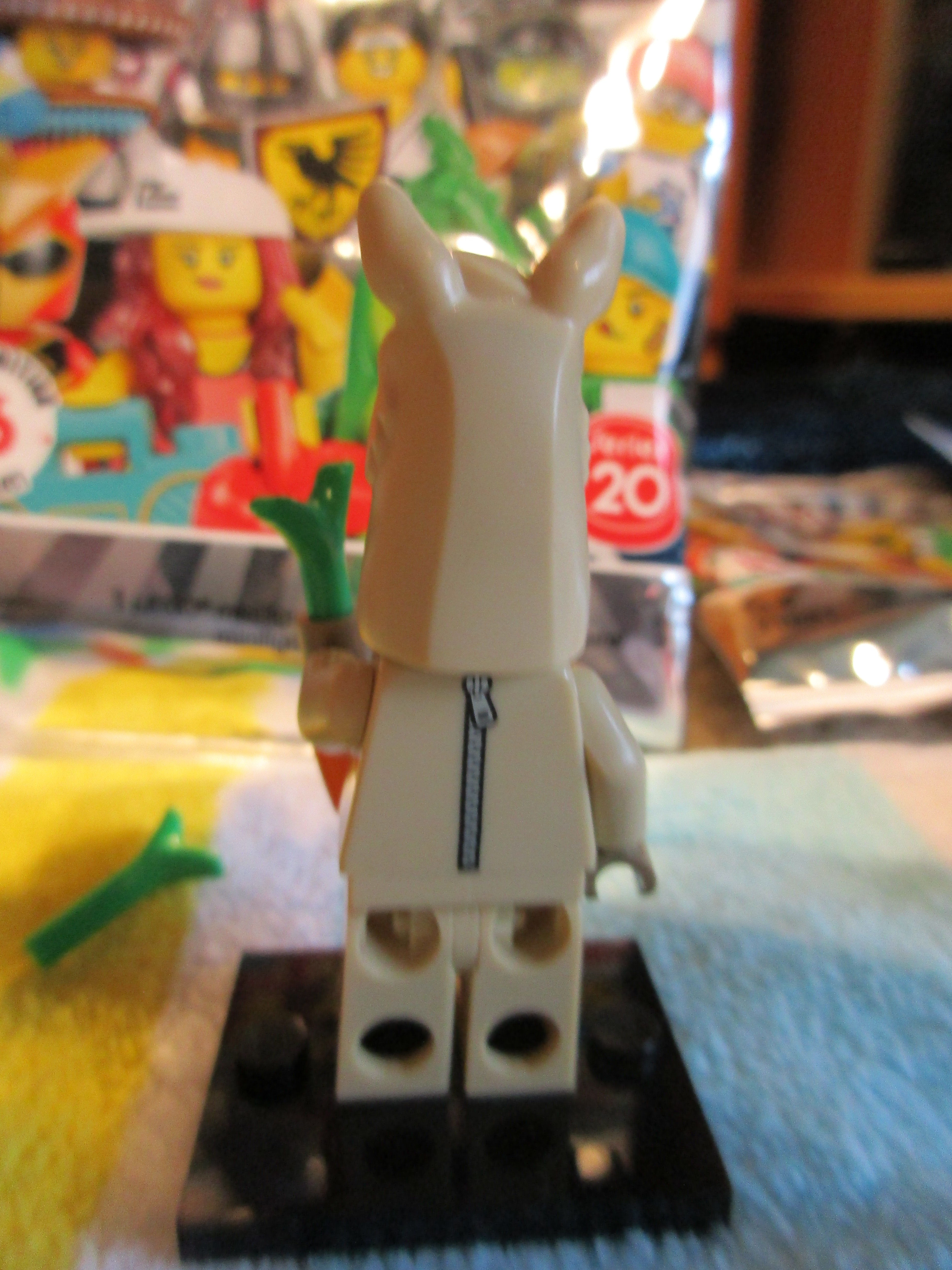 71027llamacostumegirl2.jpg