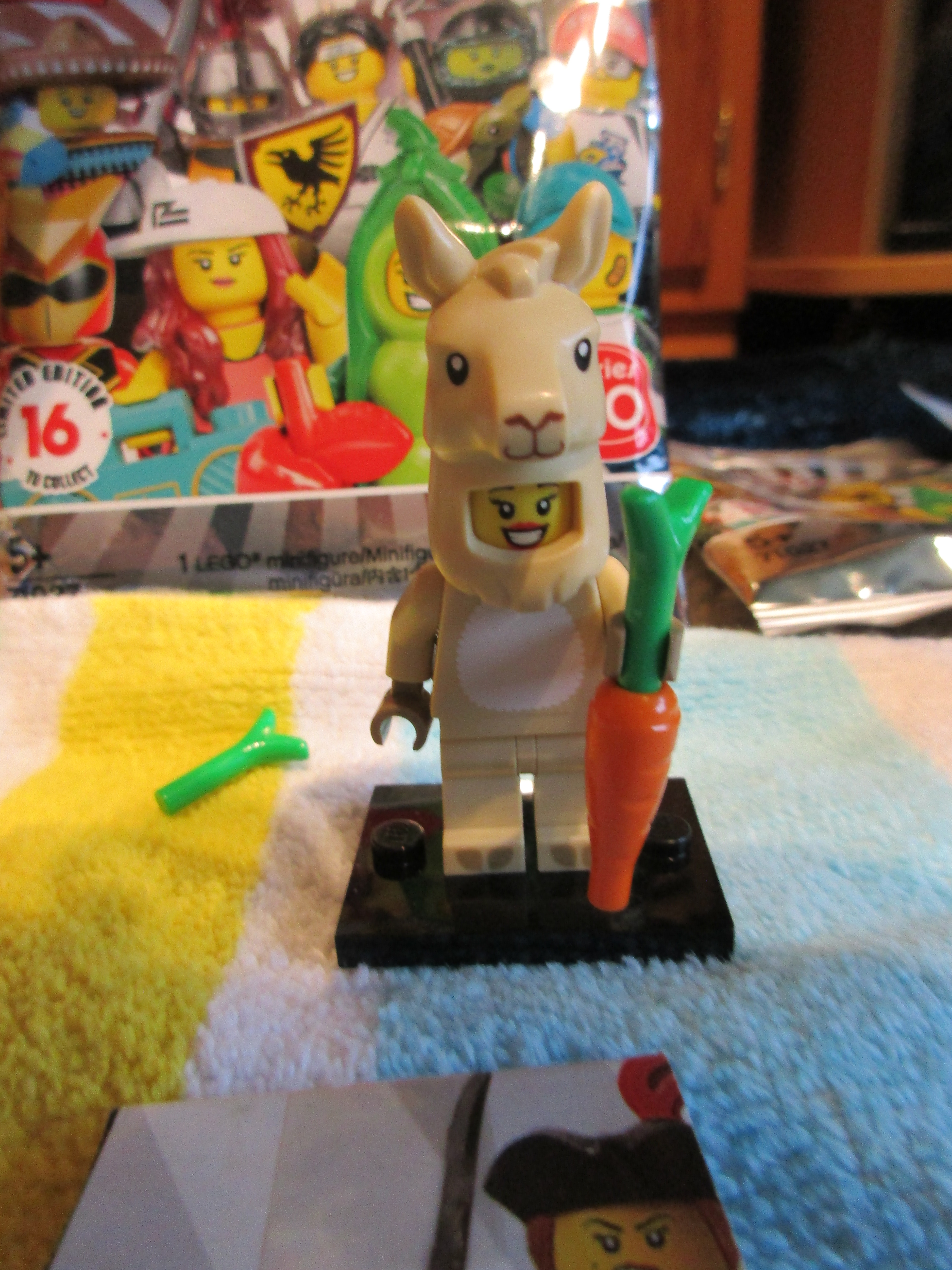 71027llamacostumegirl3.jpg