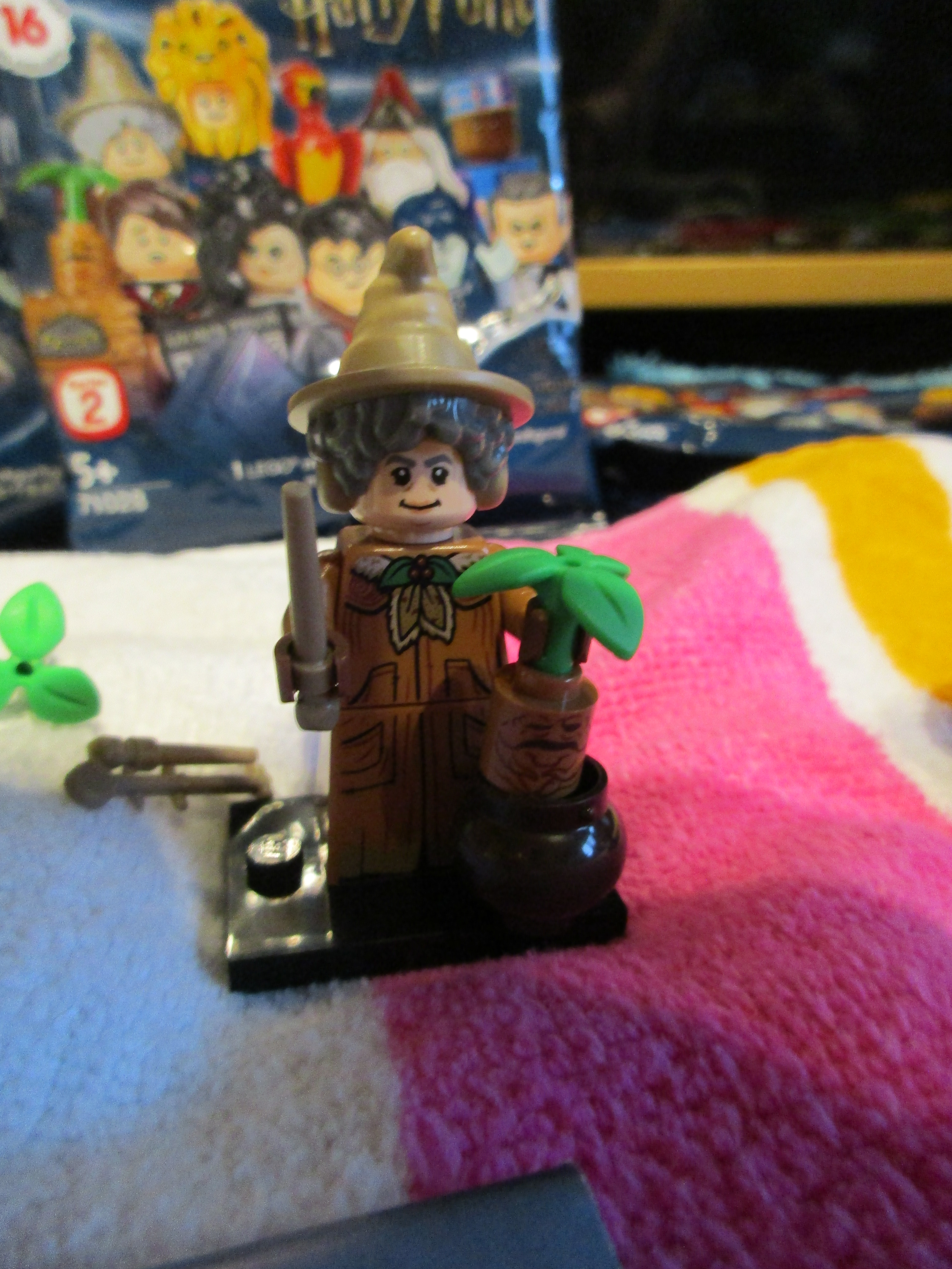 71028professorpomonasprout3.jpg
