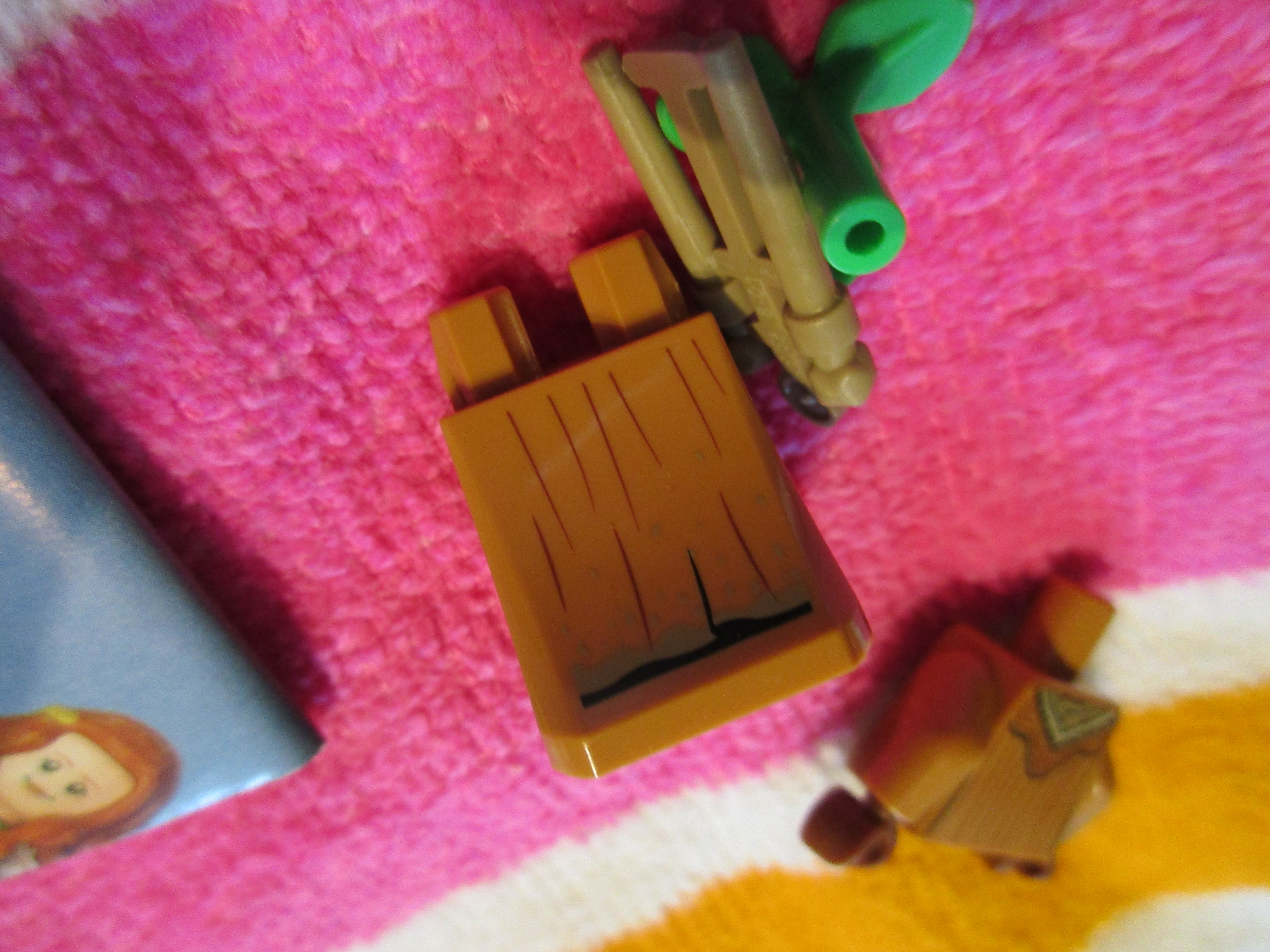 img_7265.jpg