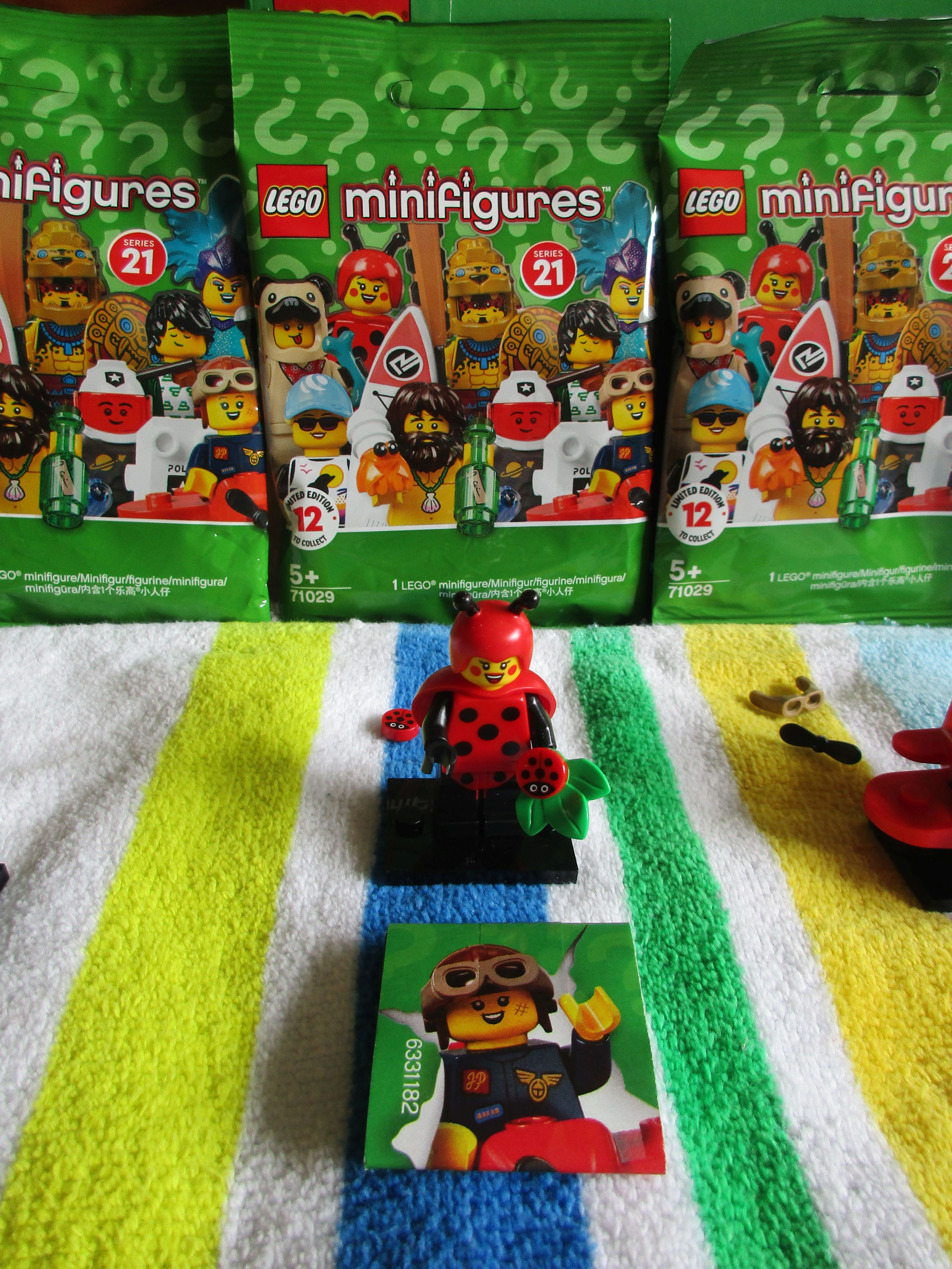 71029ladybirdgirl.jpg