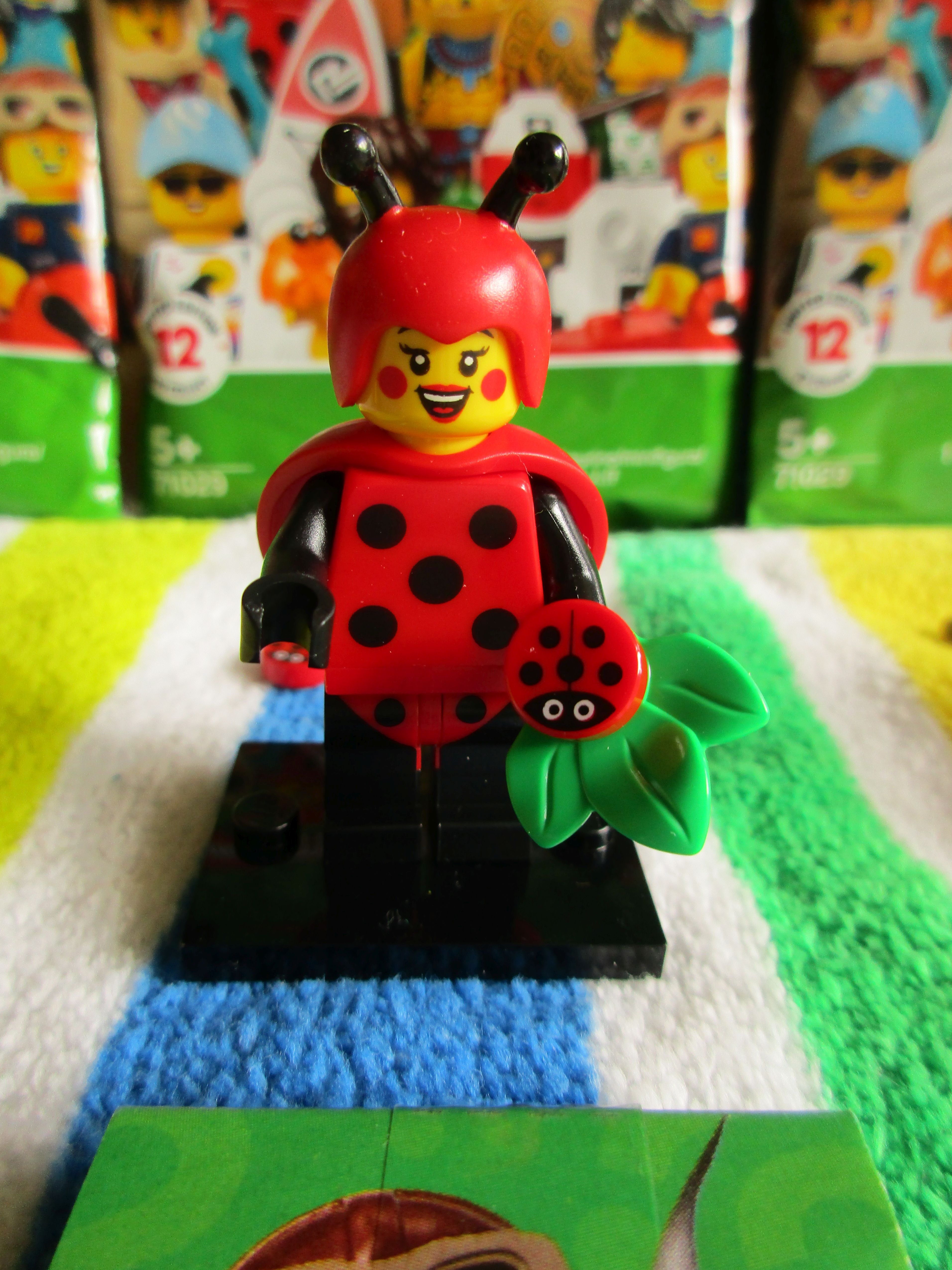 71029ladybirdgirl1.jpg