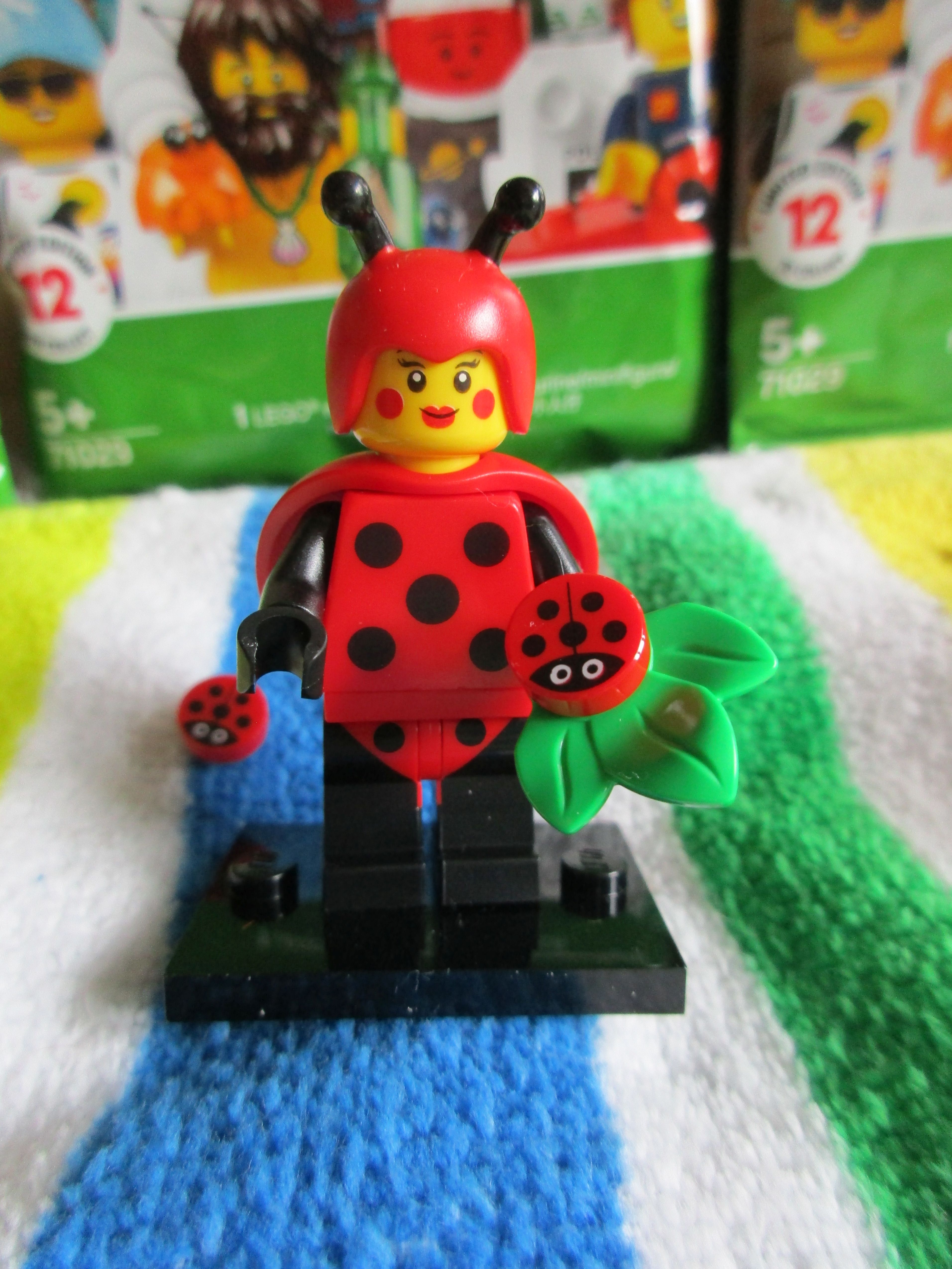 71029ladybirdgirl2.jpg