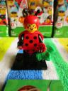 71029ladybirdgirl1.jpg