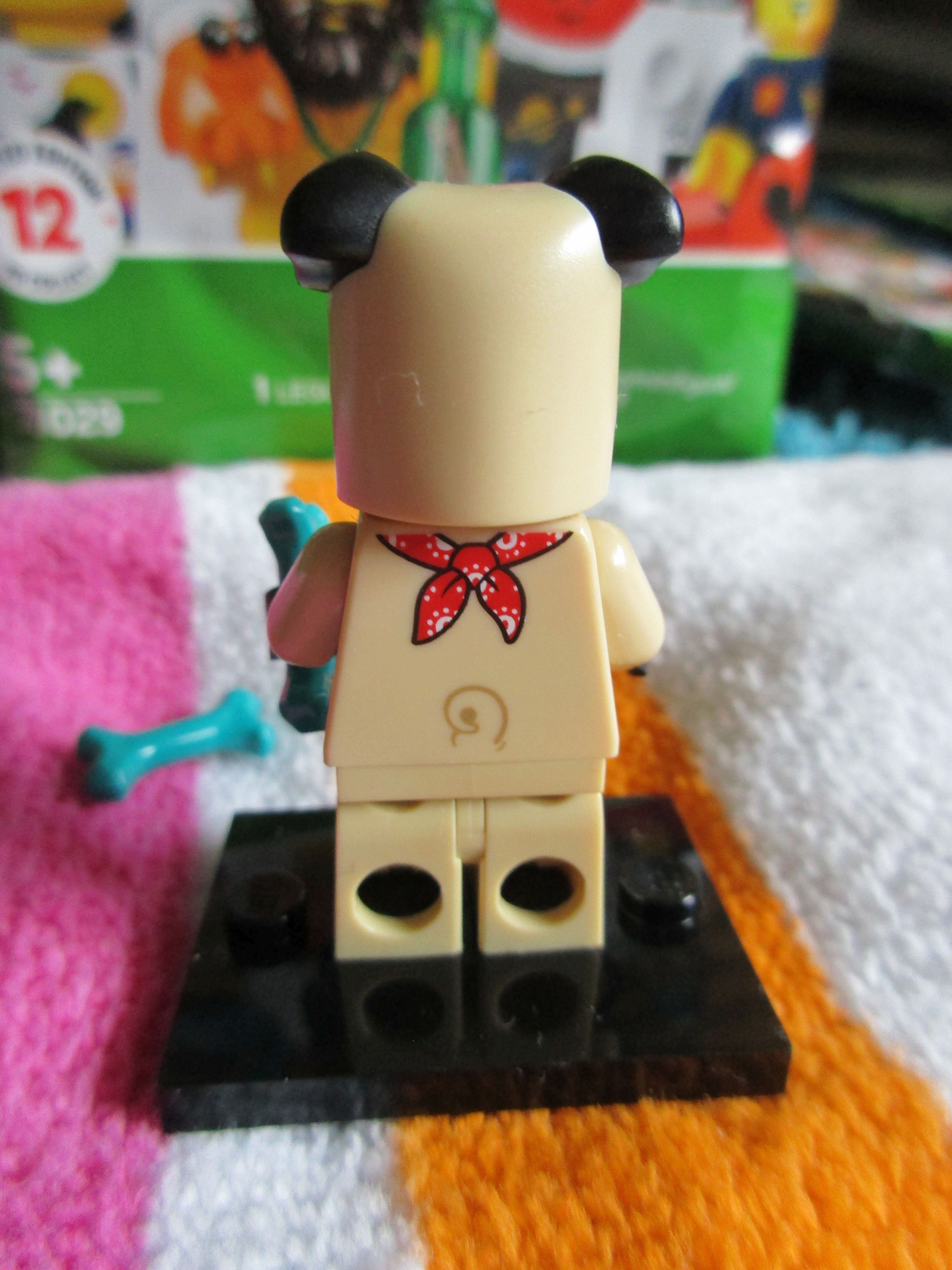 71029pugcostumeguy2.jpg