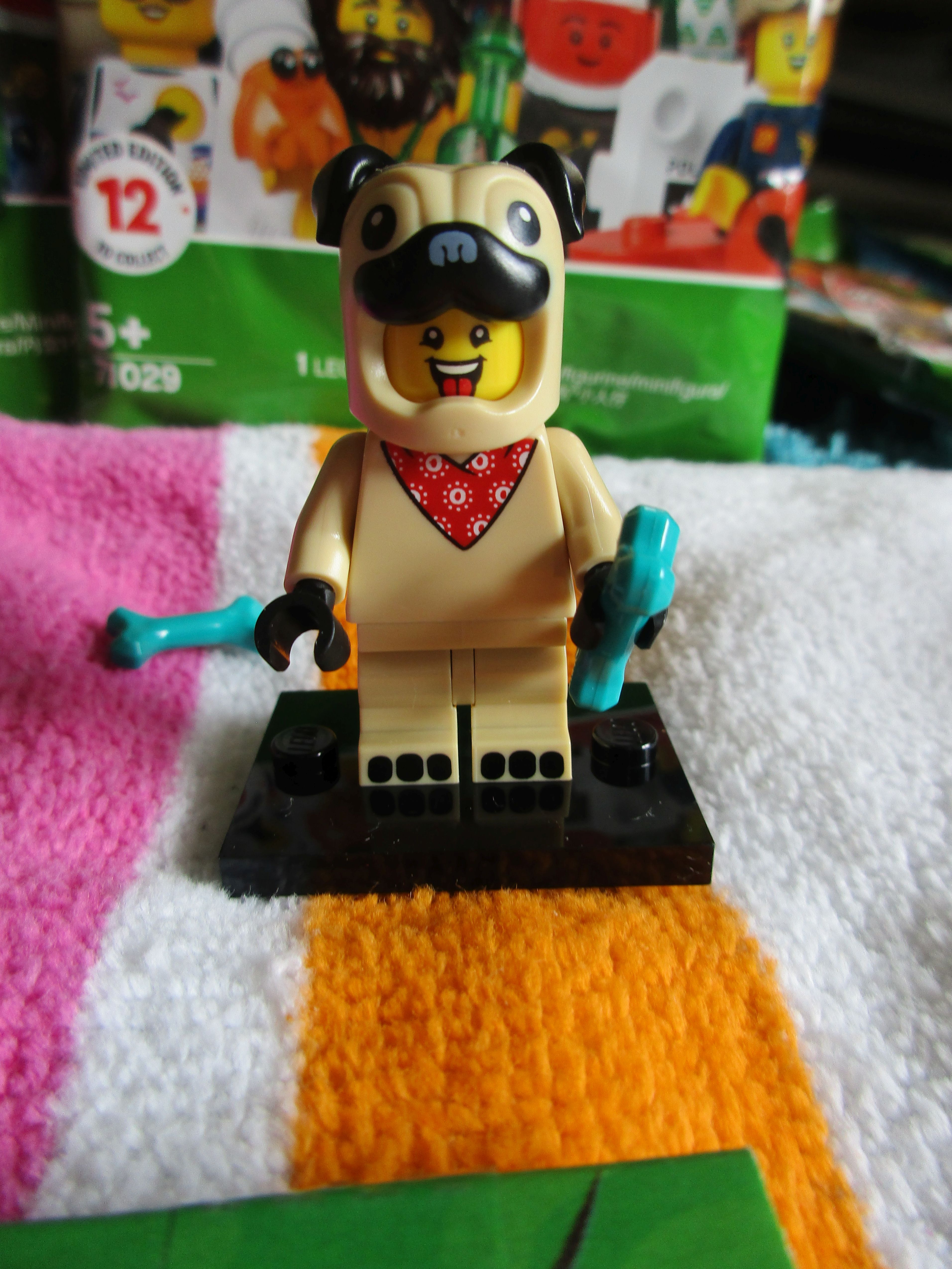 71029pugcostumeguy3.jpg