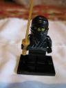 8683ninja2.jpg