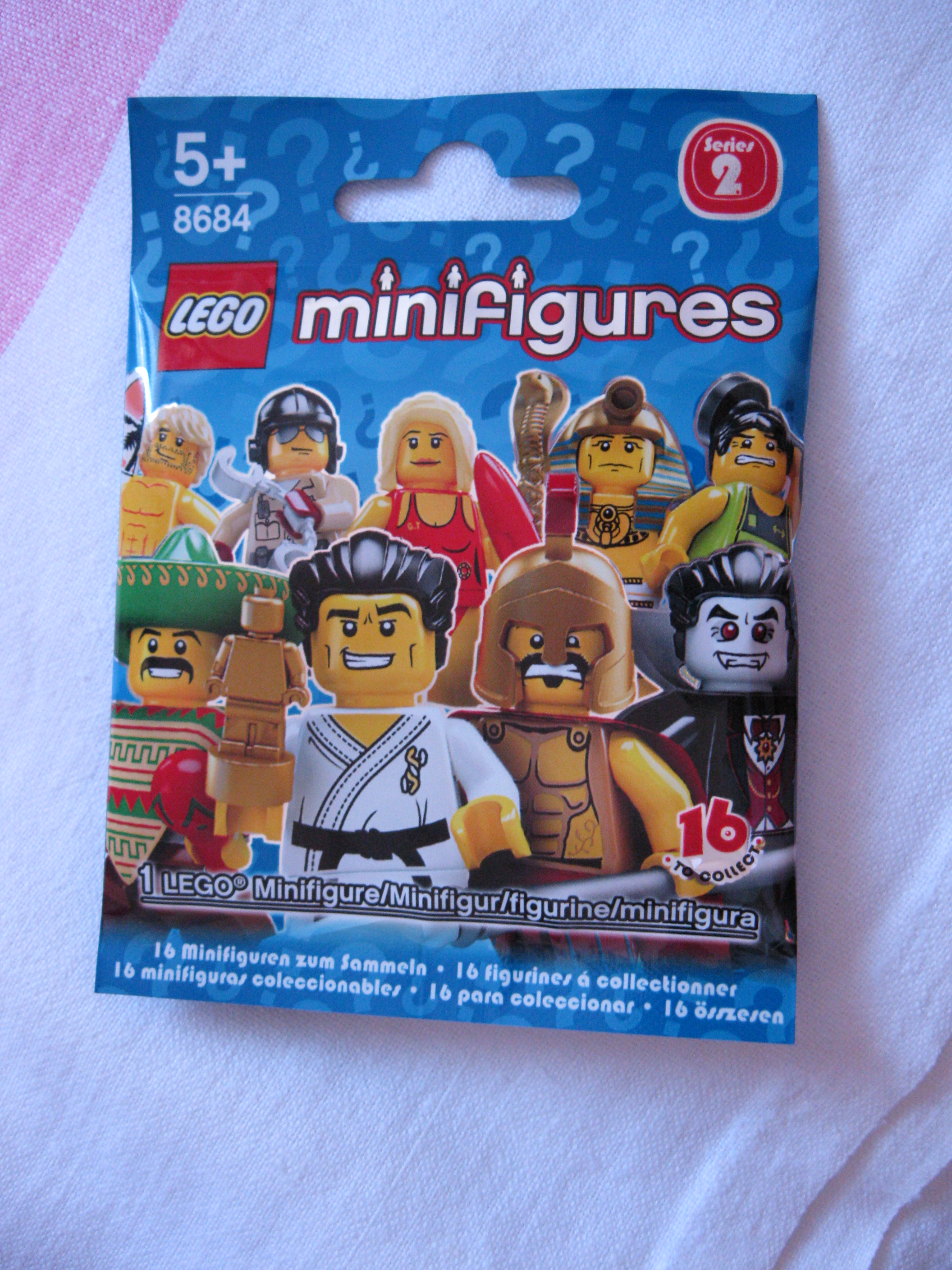 8684karatemasterpolybag.jpg