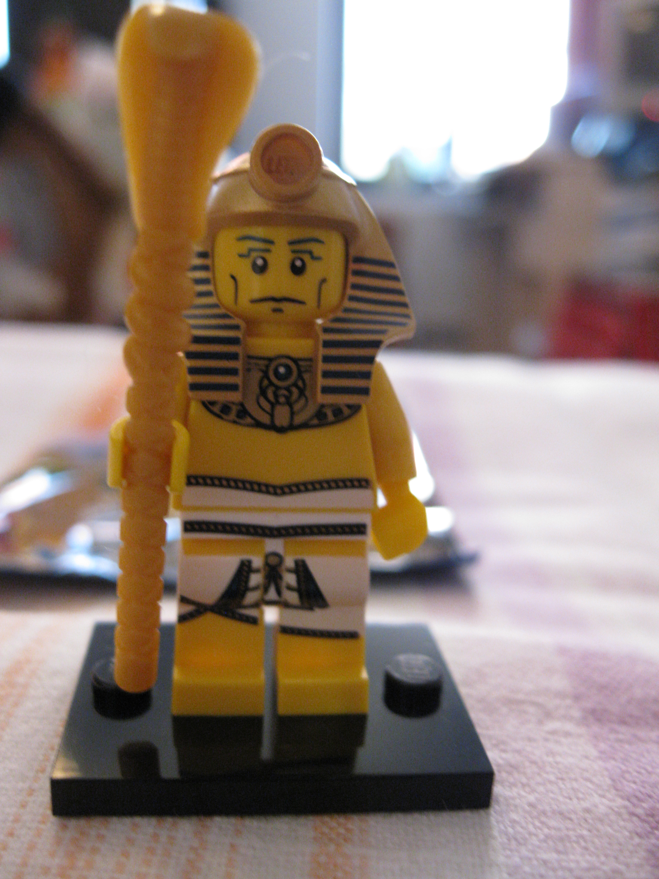8684pharaoh2.jpg