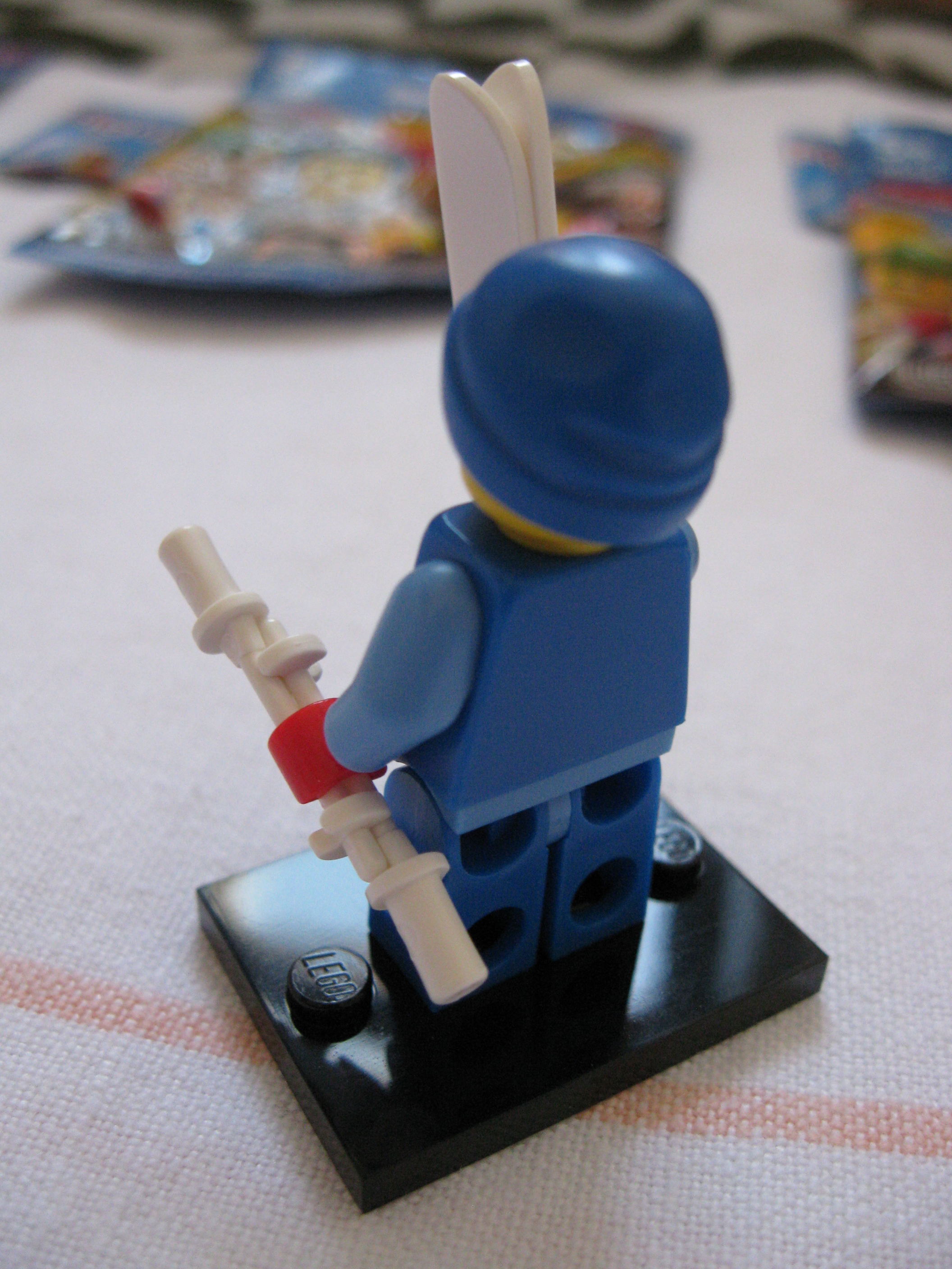 8684skier3.jpg