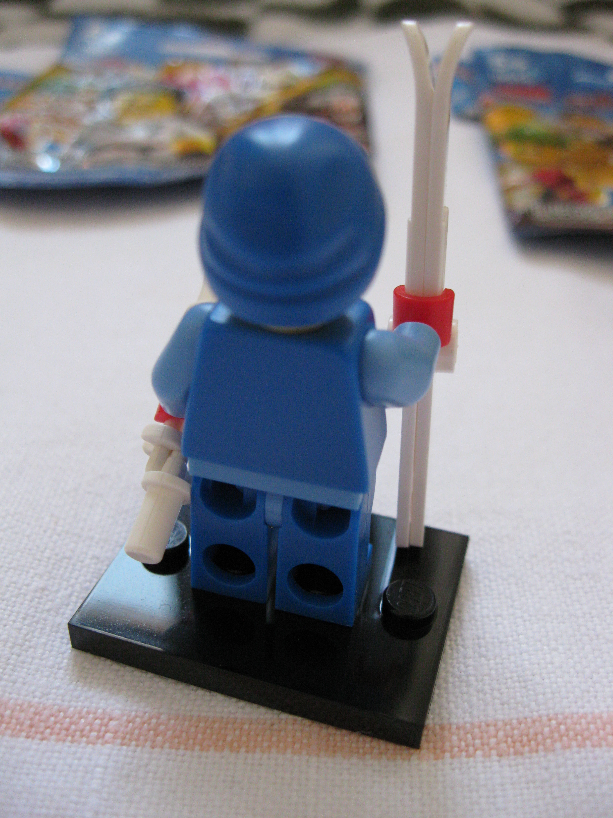 8684skier4.jpg