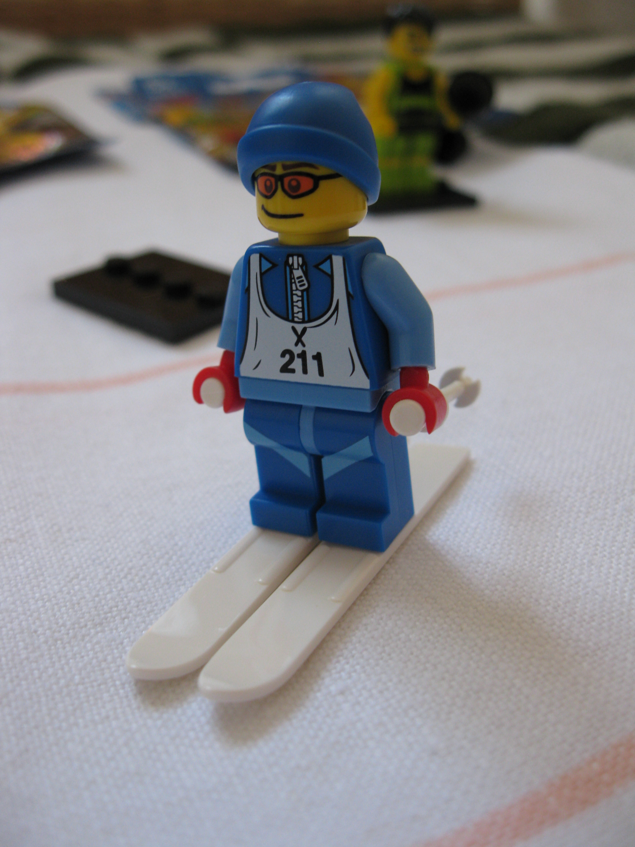 8684skier5.jpg