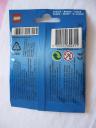 8684skierpolybag.jpg