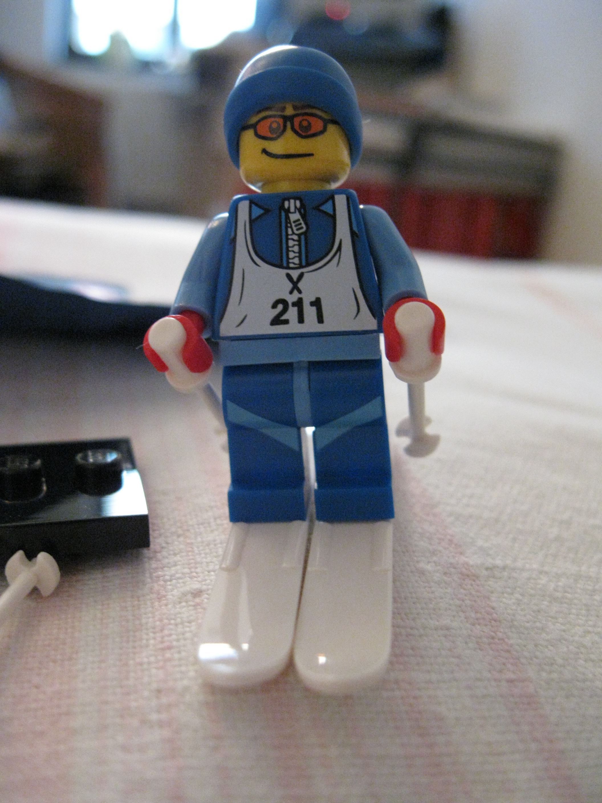 8684skier2.jpg